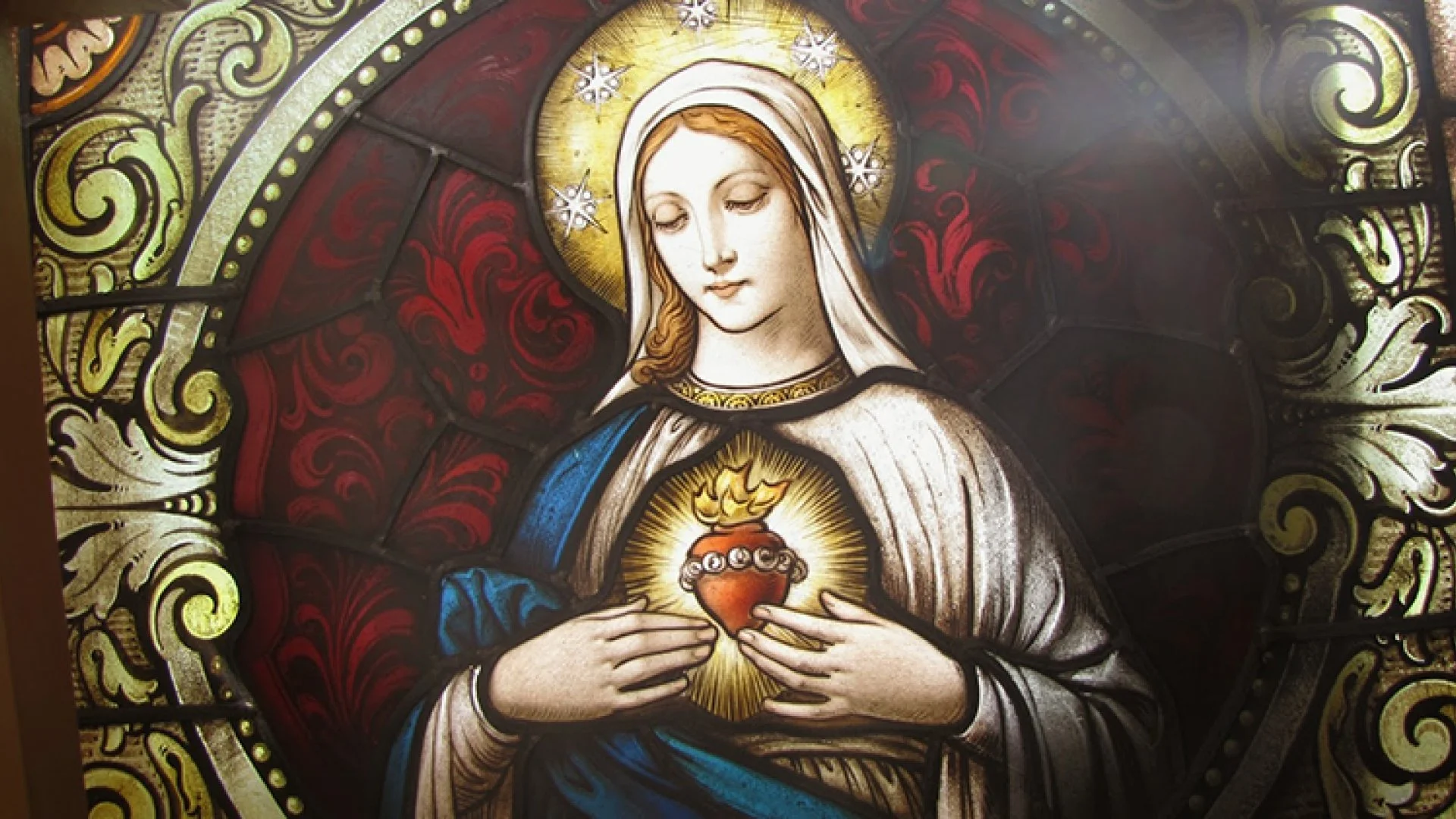 immaculate-heart-of-mary.jpg