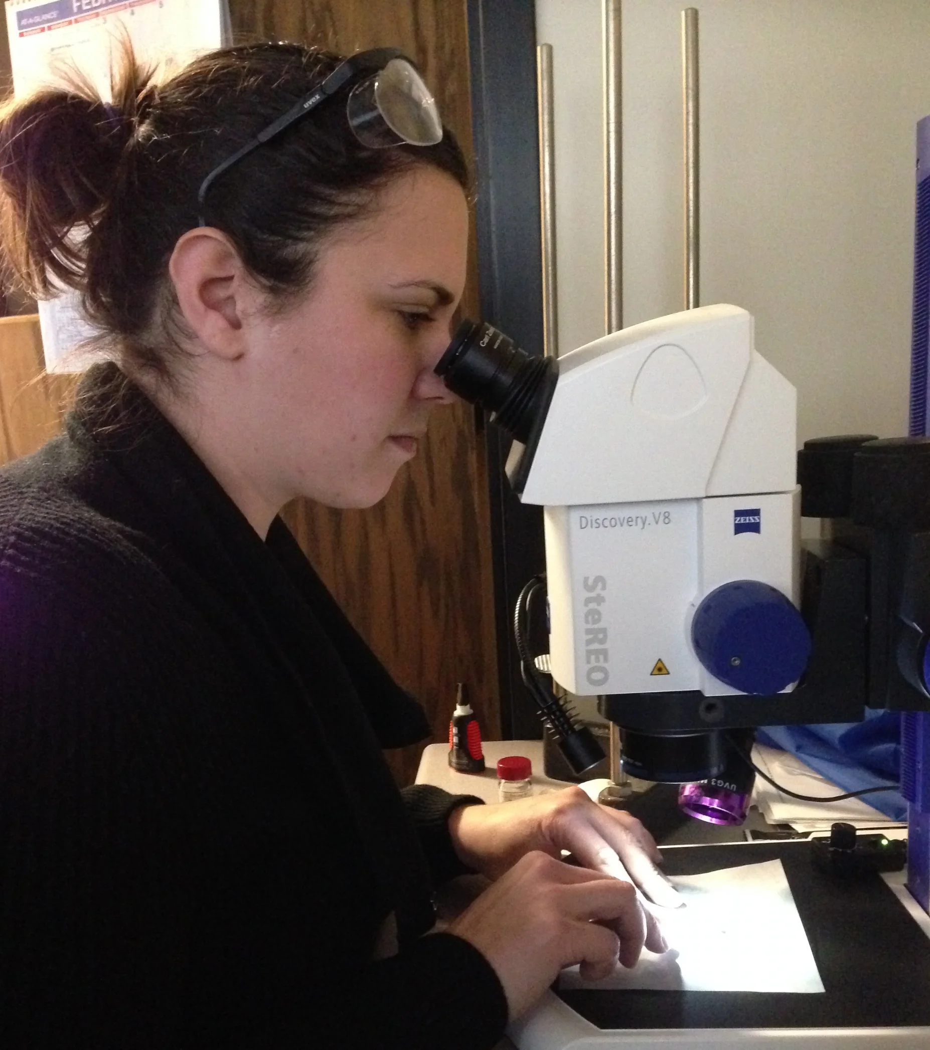 layer separation.JPG