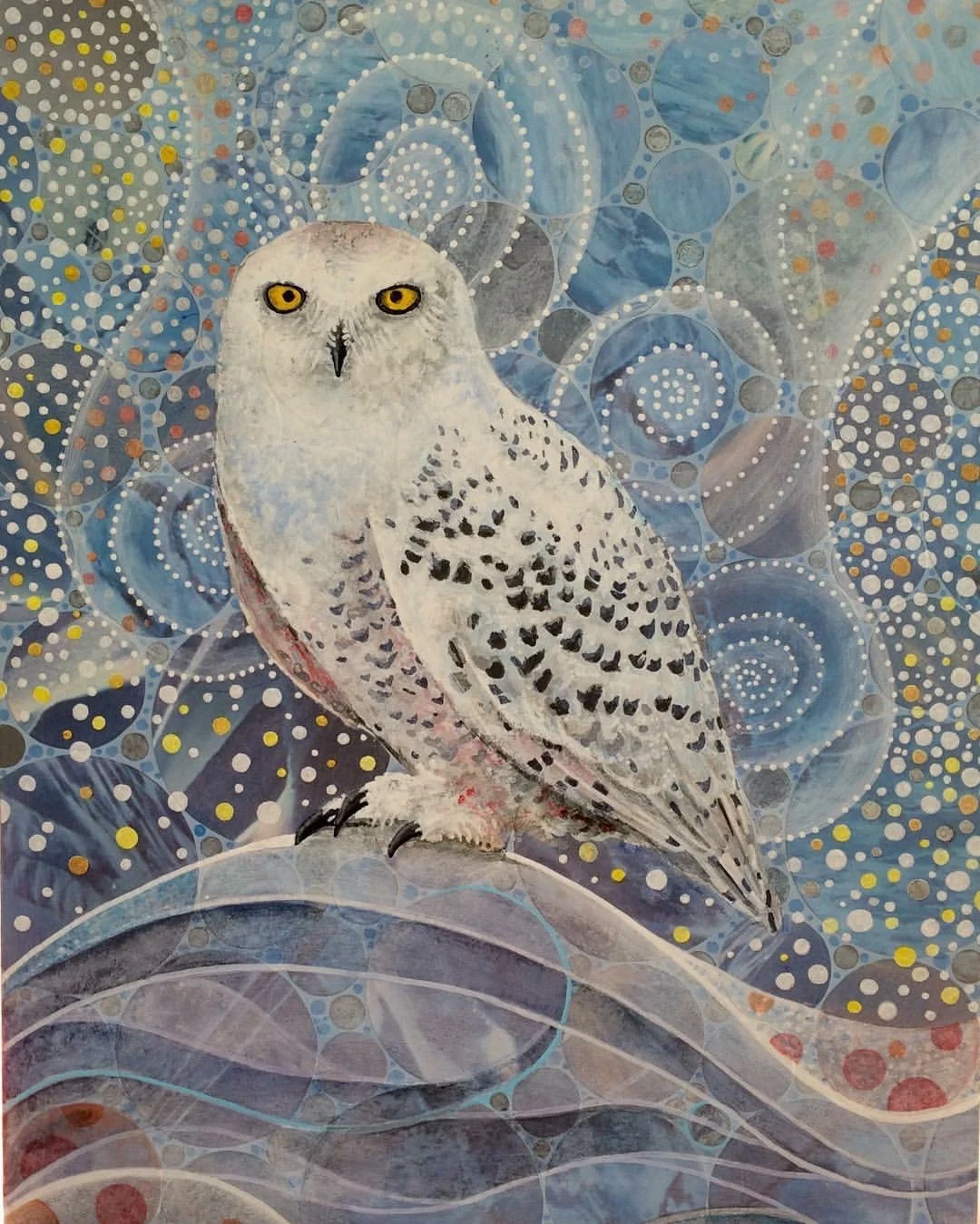 Snowy Owl