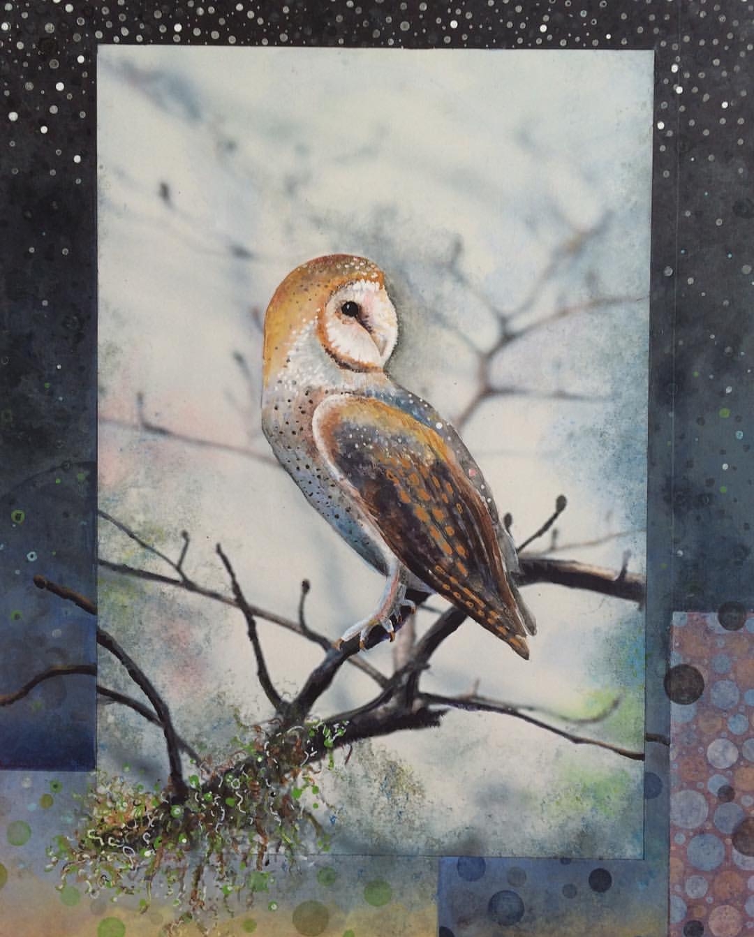 Barn Owl