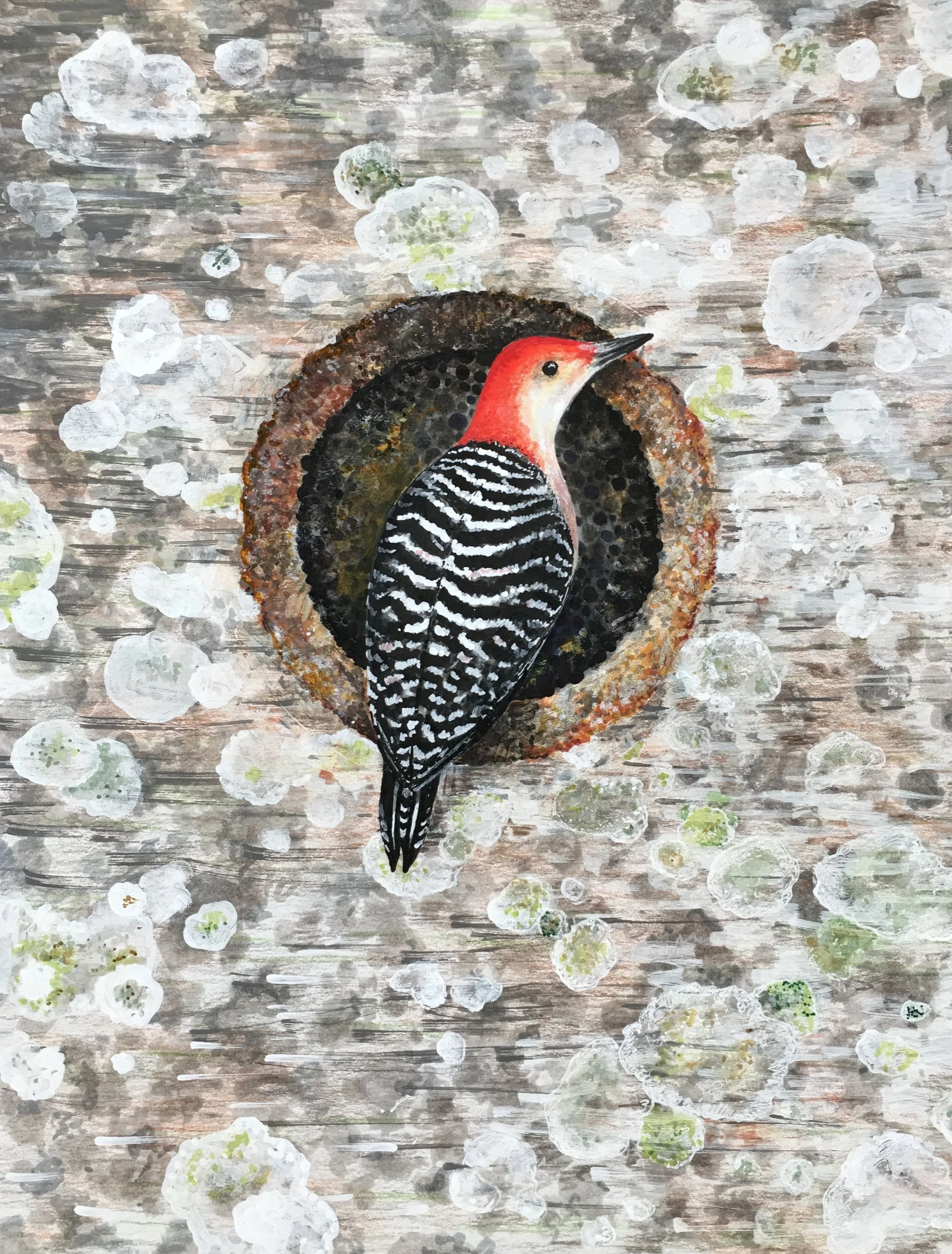 woodpecker