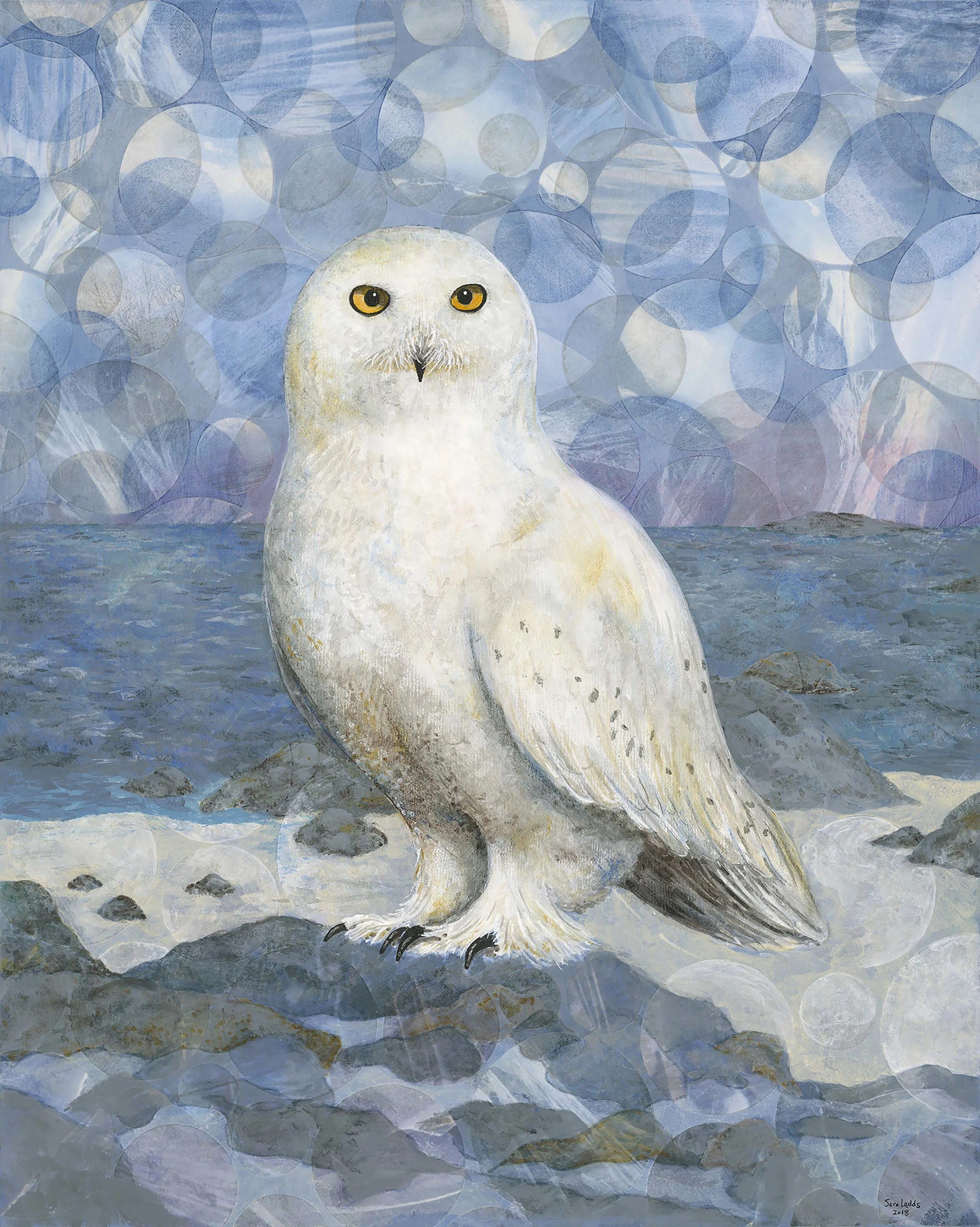 SNOWY OWL
