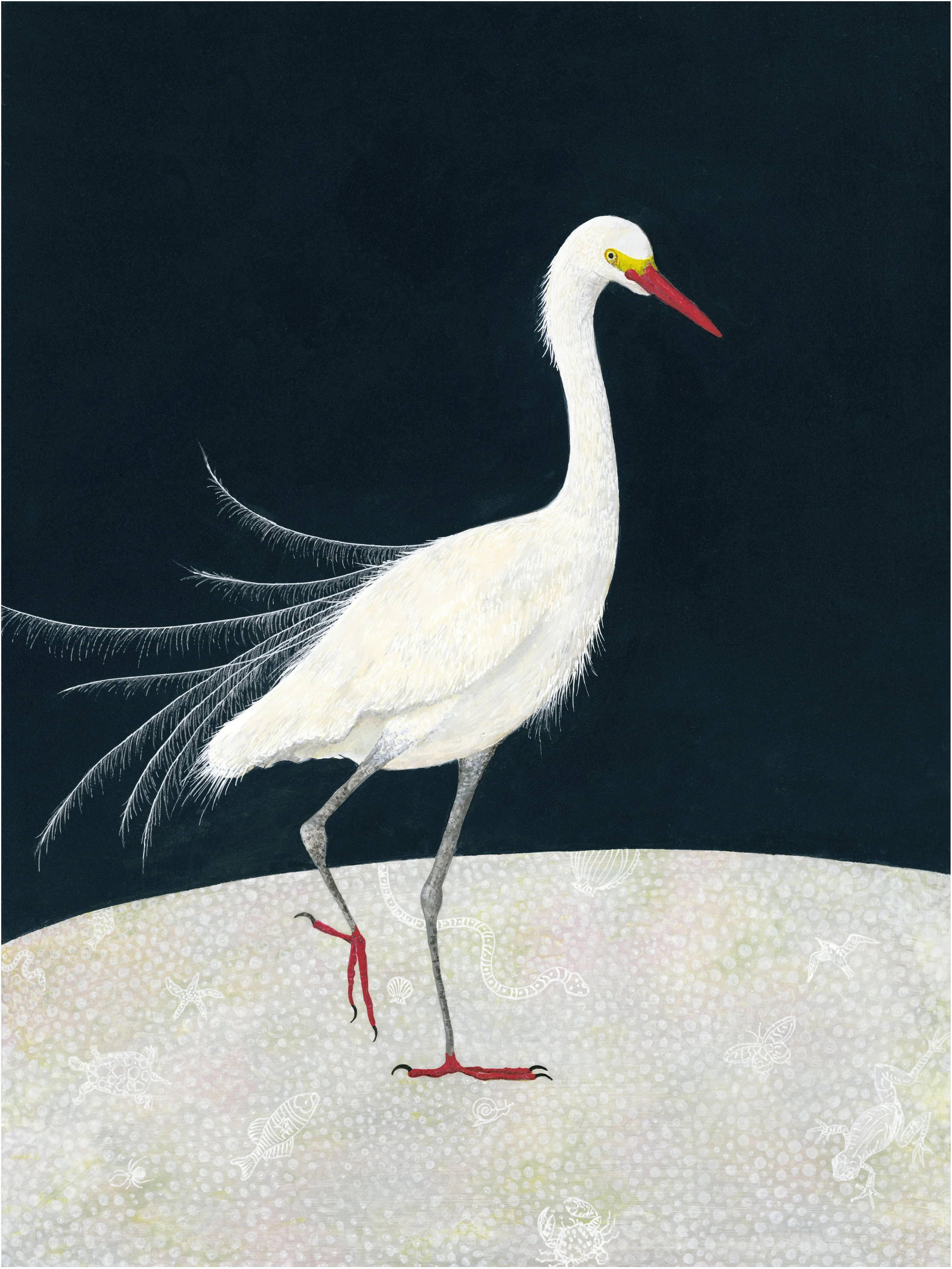 Snowy Egret