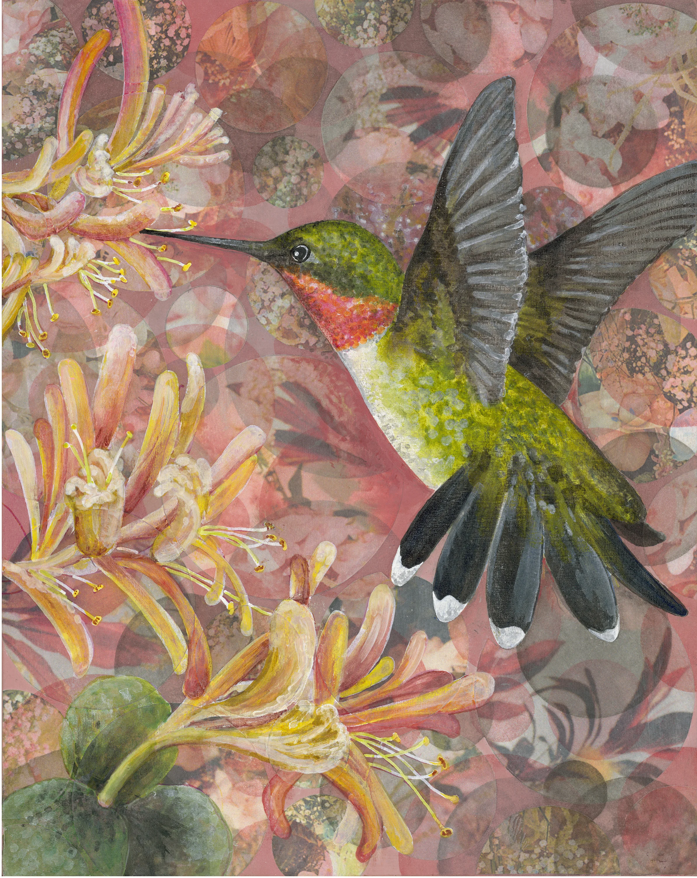 Hummingbird
