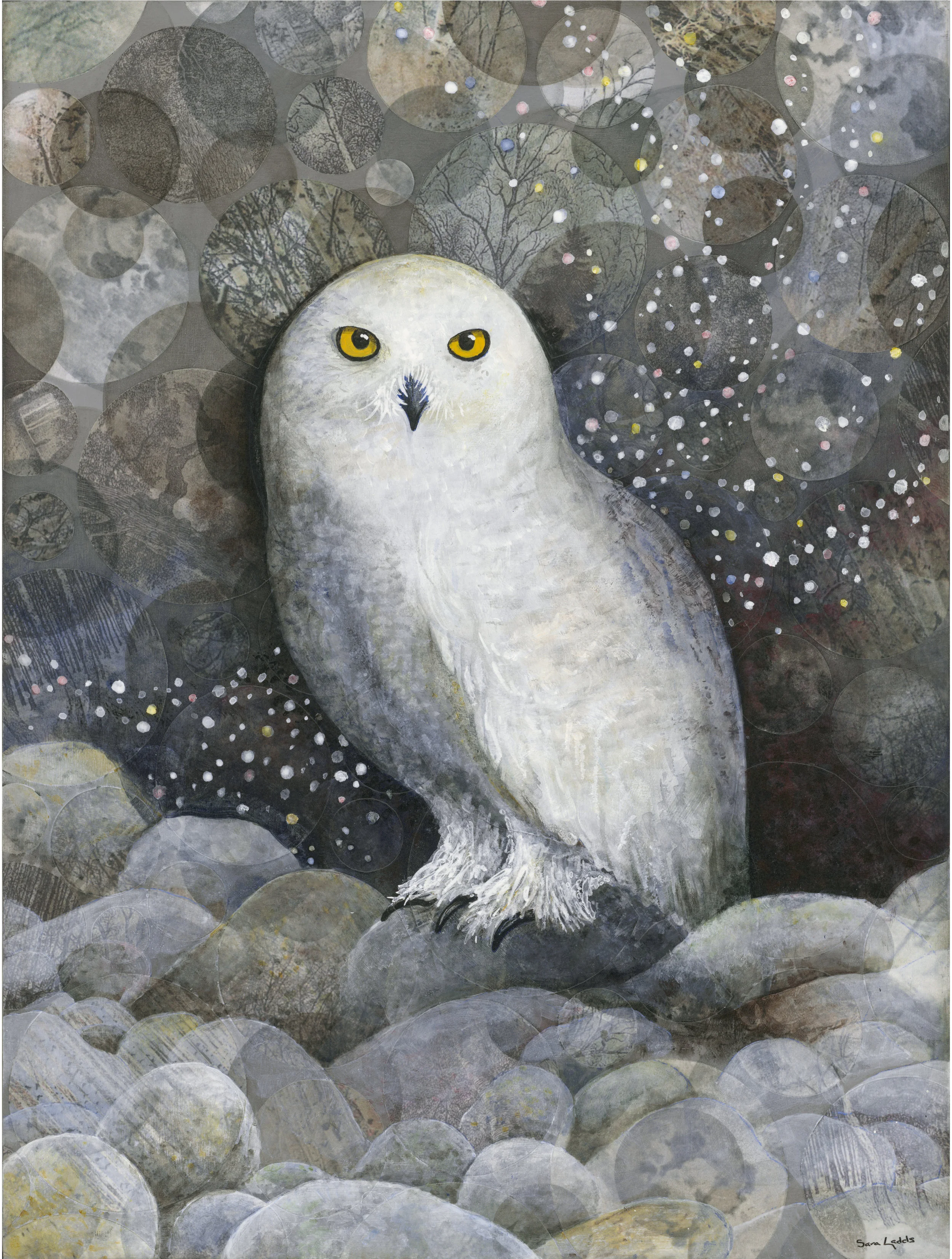 SNOWY OWL NIGHT