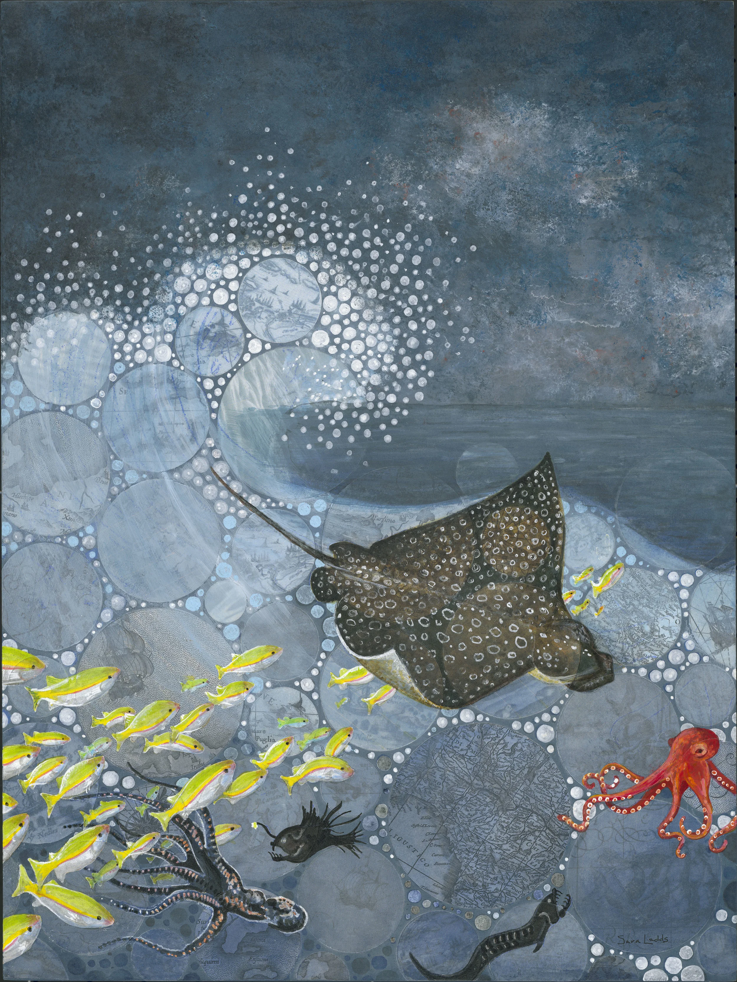 Sea Creatures