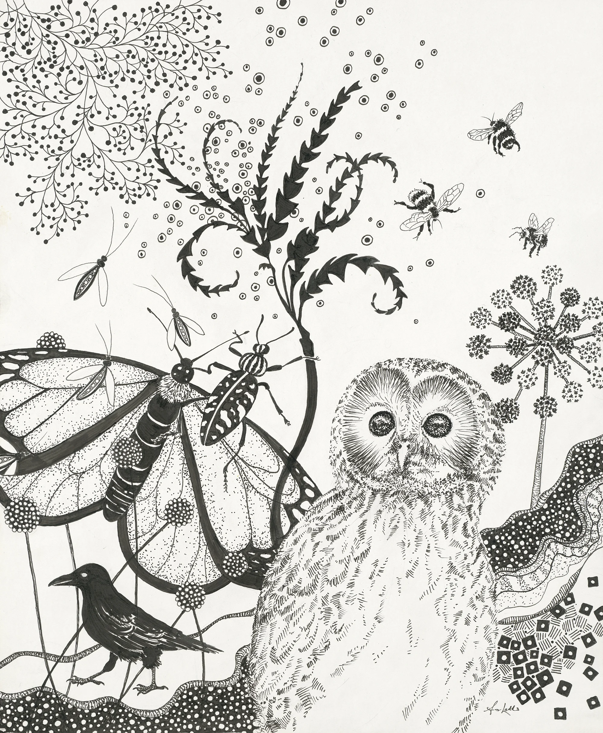 Owl let you know