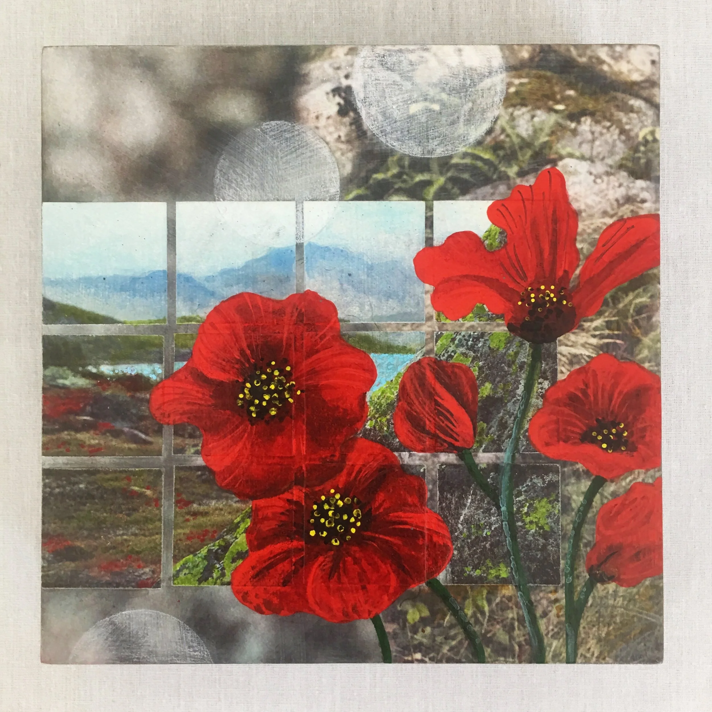 Poppy