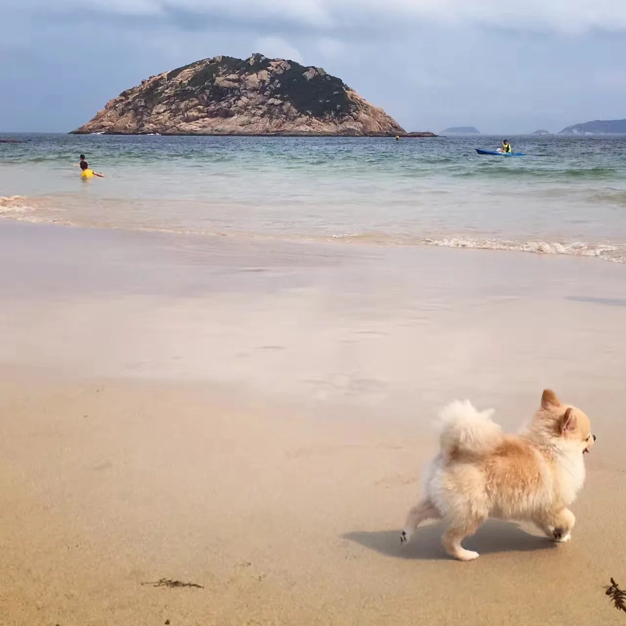 Shek O