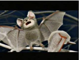 bats.jpg