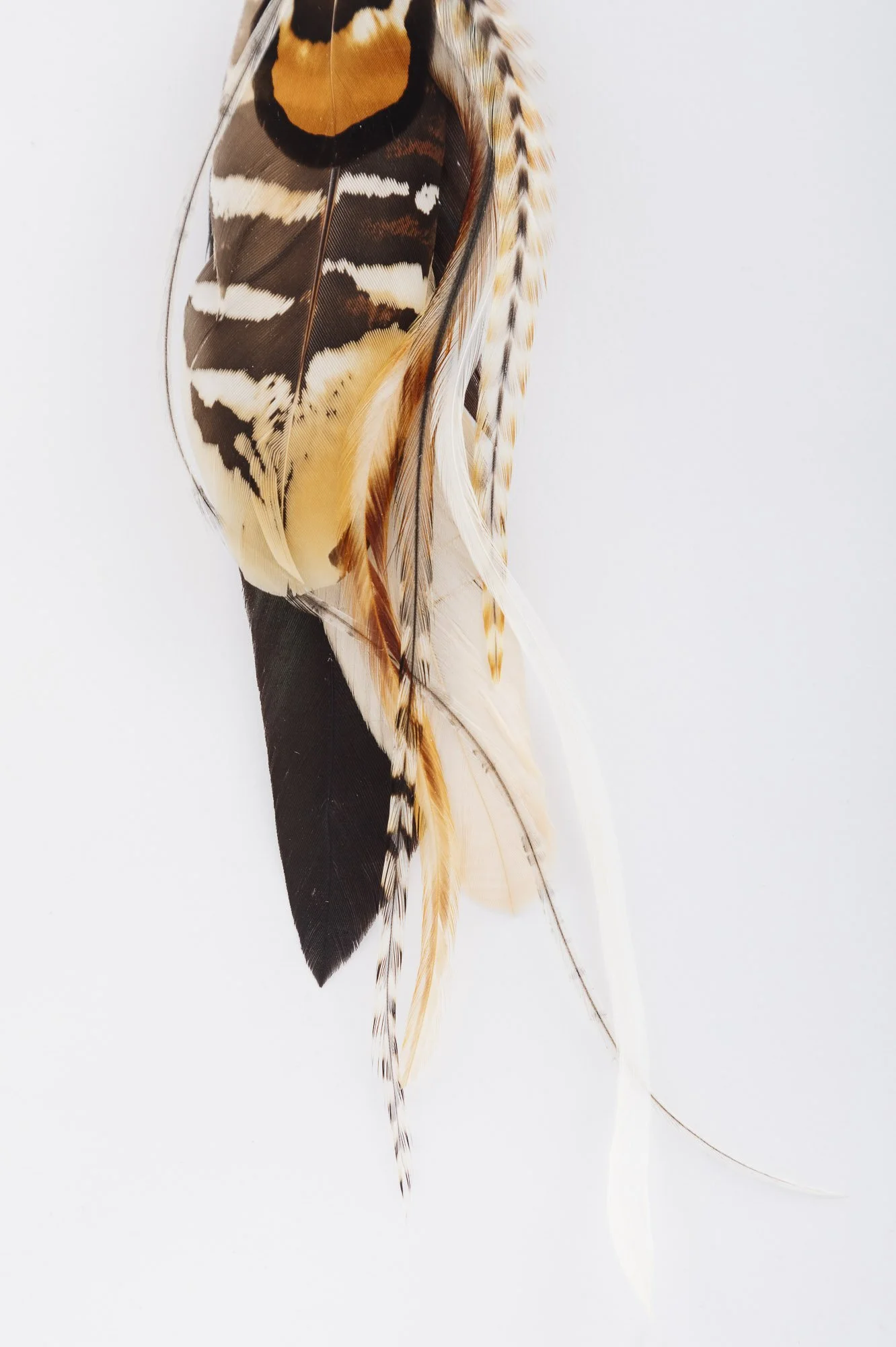 alysa-feather-earring-detail-2.JPG