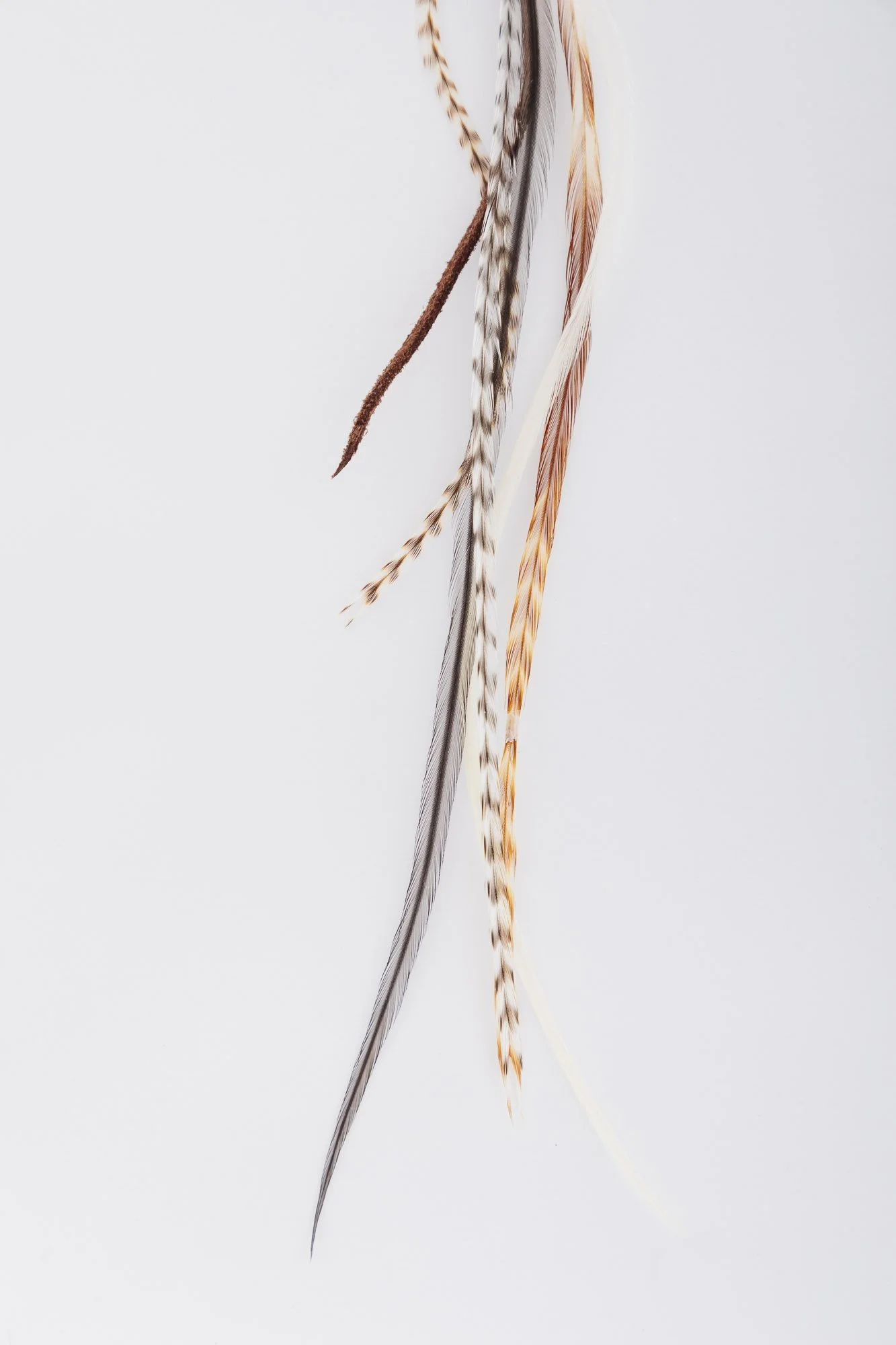 emma-feather-earring-detail-2.JPG