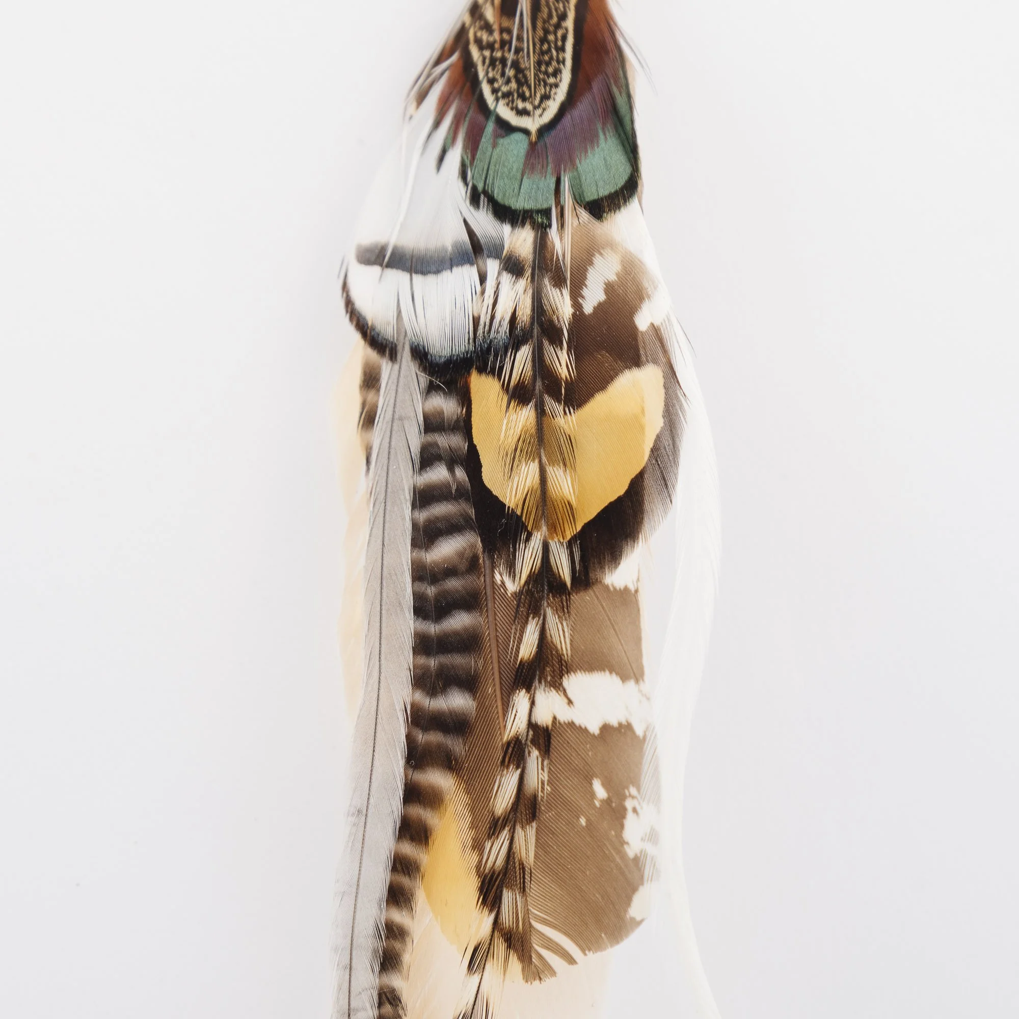 ashwiyaa-feather-earring-lifestyle-3.JPG