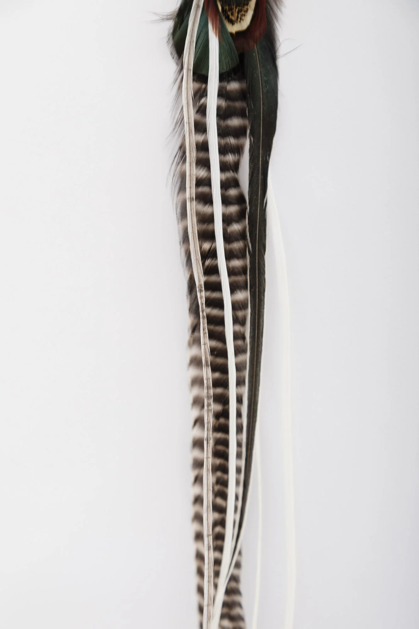 gold-feather-earring-detail-2.JPG