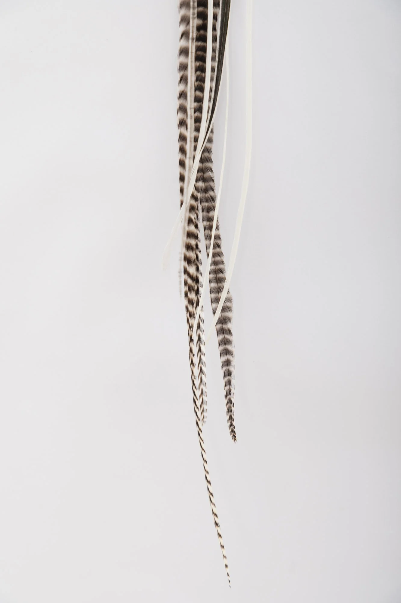 gold-feather-earring-detail-3.JPG