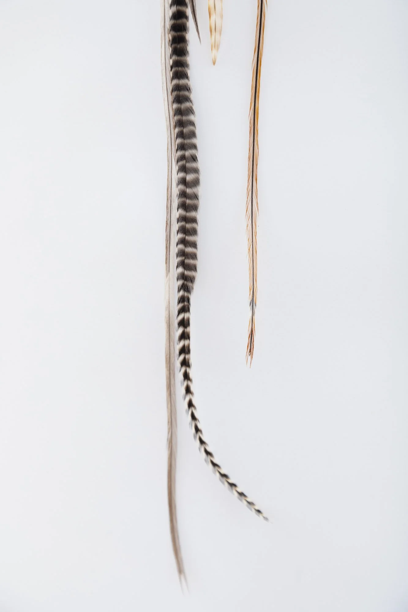 cowrie-shell-turquoise-feather-earring-detail-2.JPG