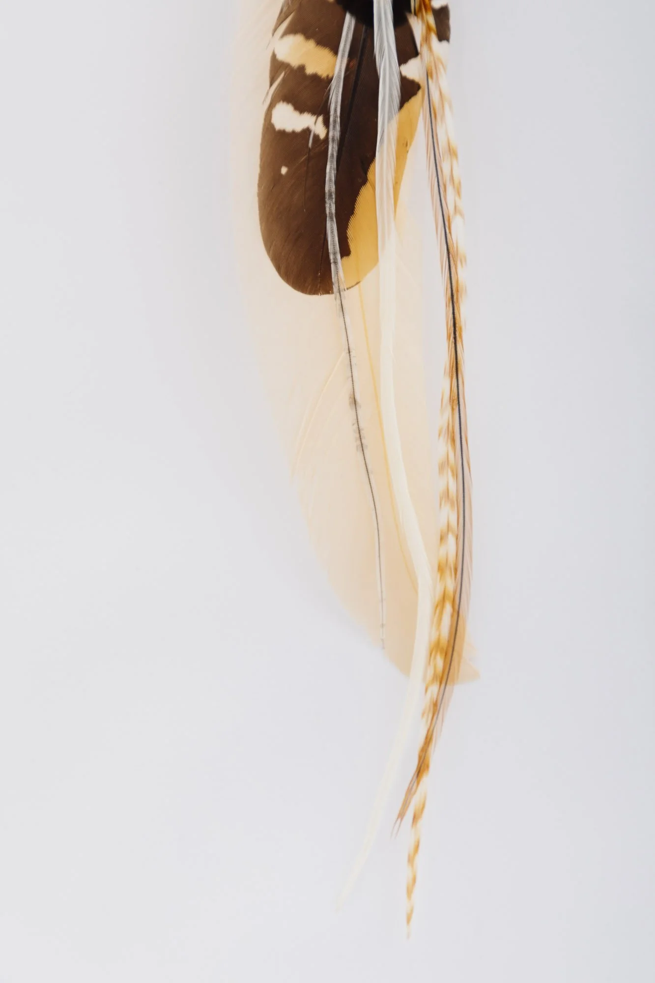 alayna-feather-earring-flat-lay-2.JPG