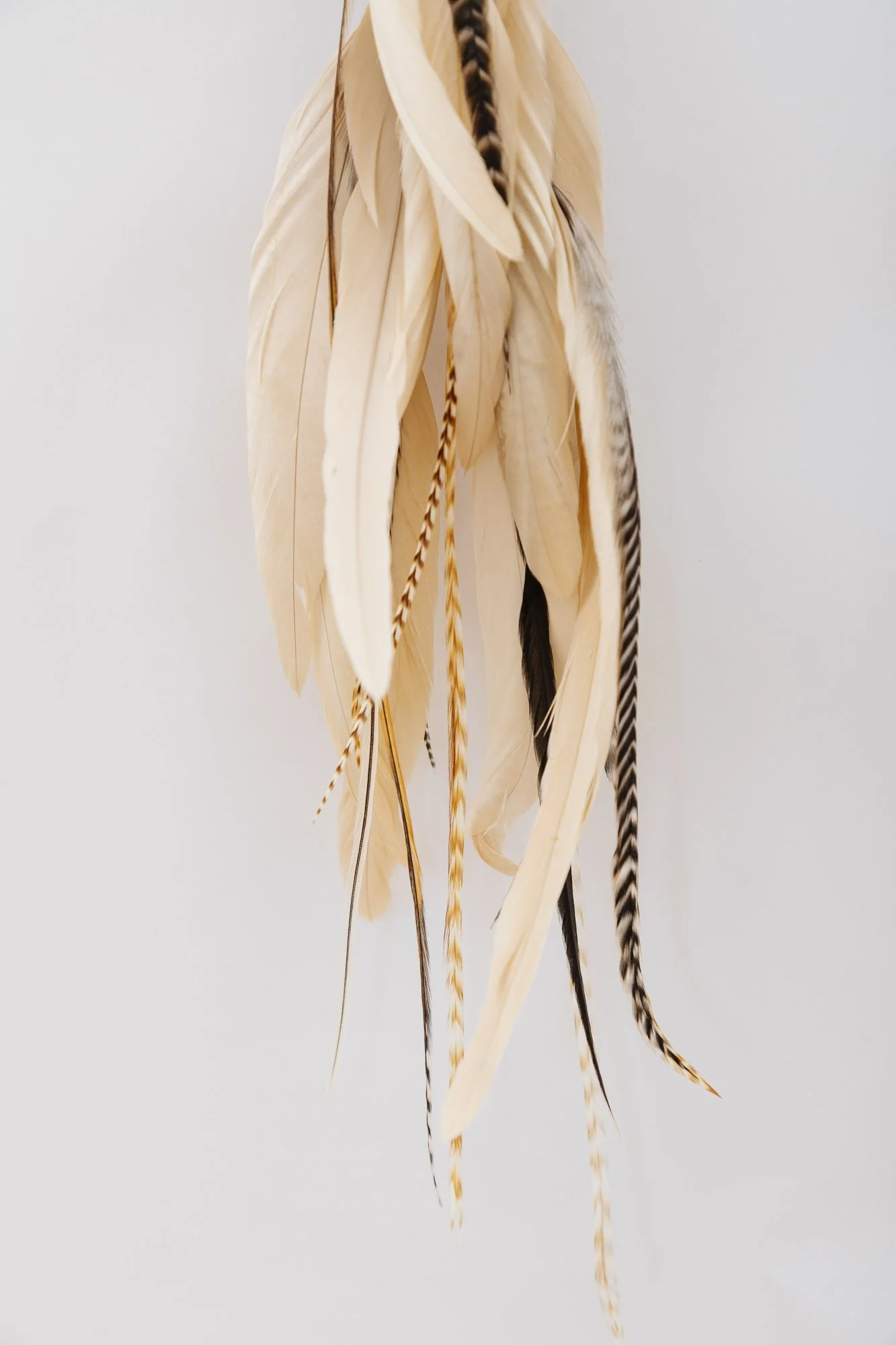 cowrie-shell-feather-earring-2-detail-3.JPG
