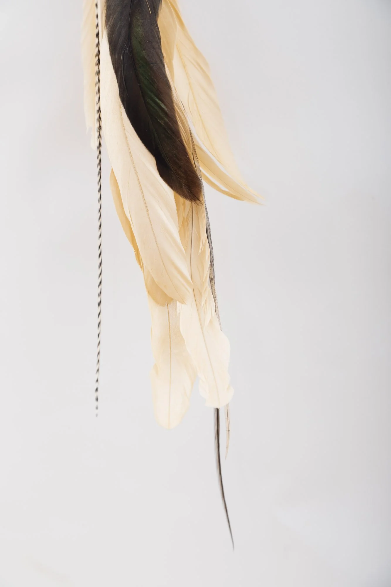 cowrie-shell-feather-earring-1-detail-3.JPG