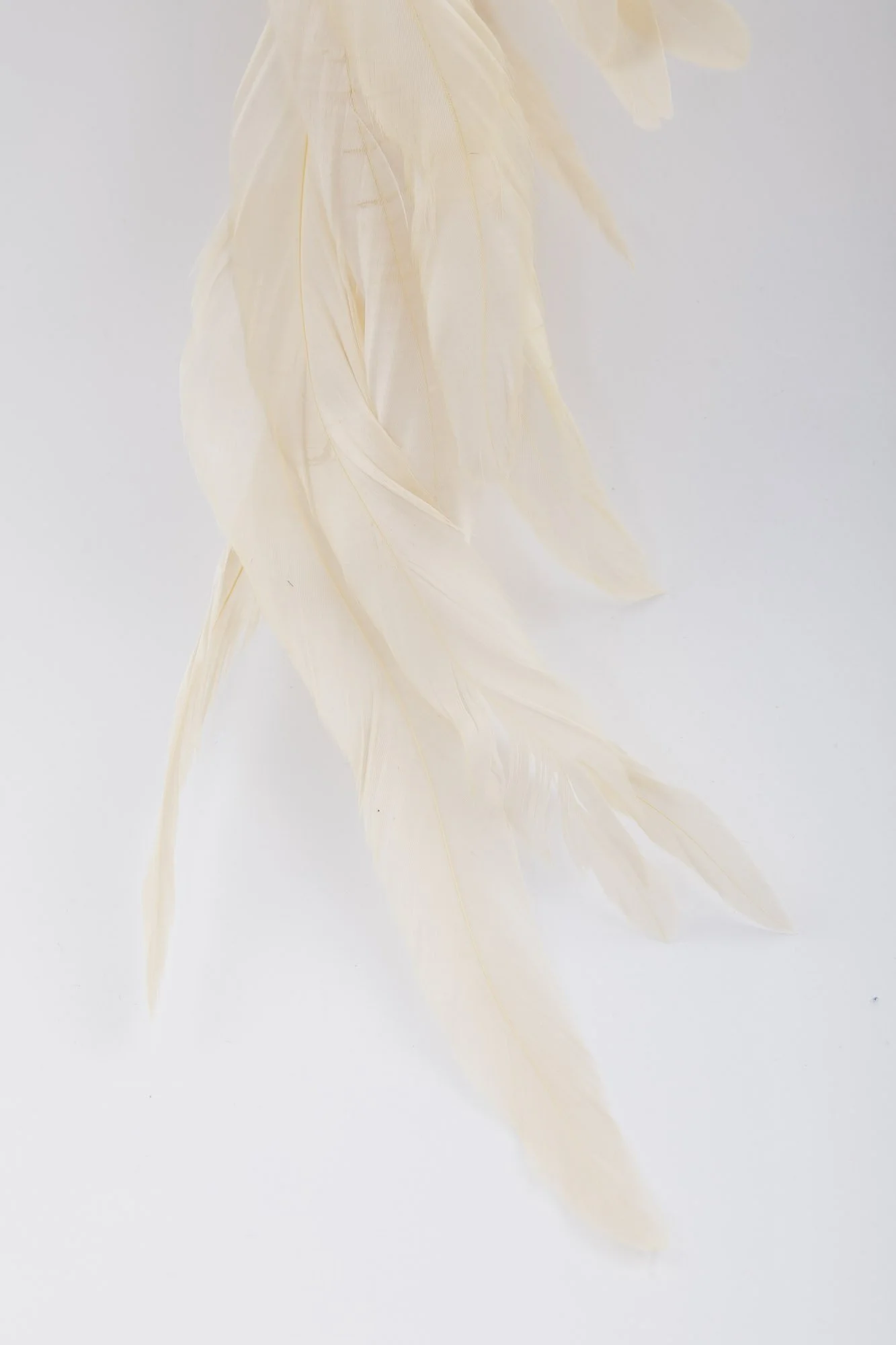 sophia-feather-earring-lifestyle-3.JPG