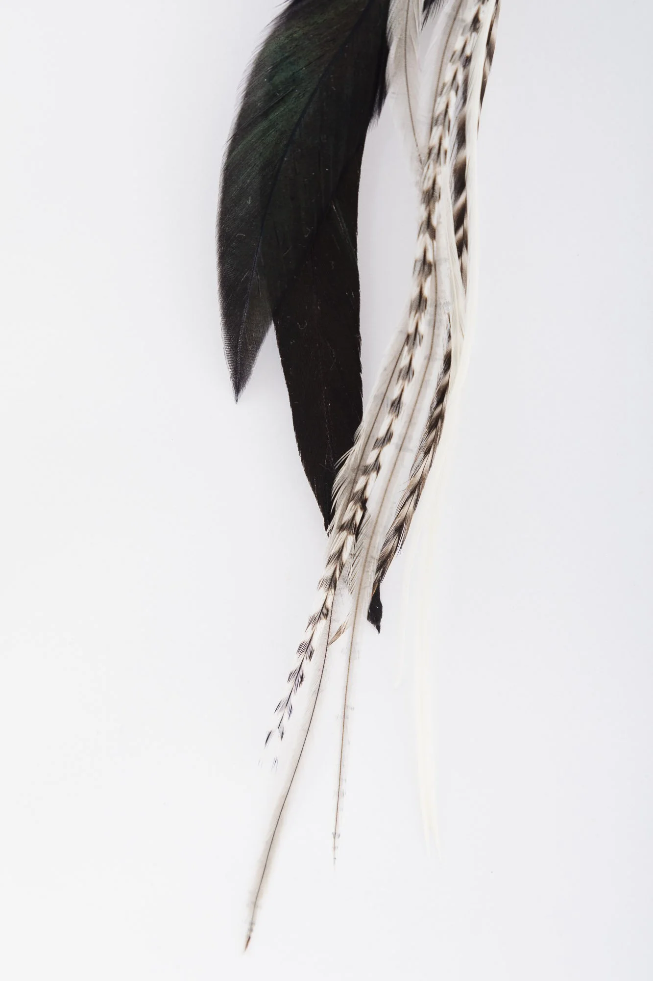 turquoise-feather-earring-1-detail-1.JPG