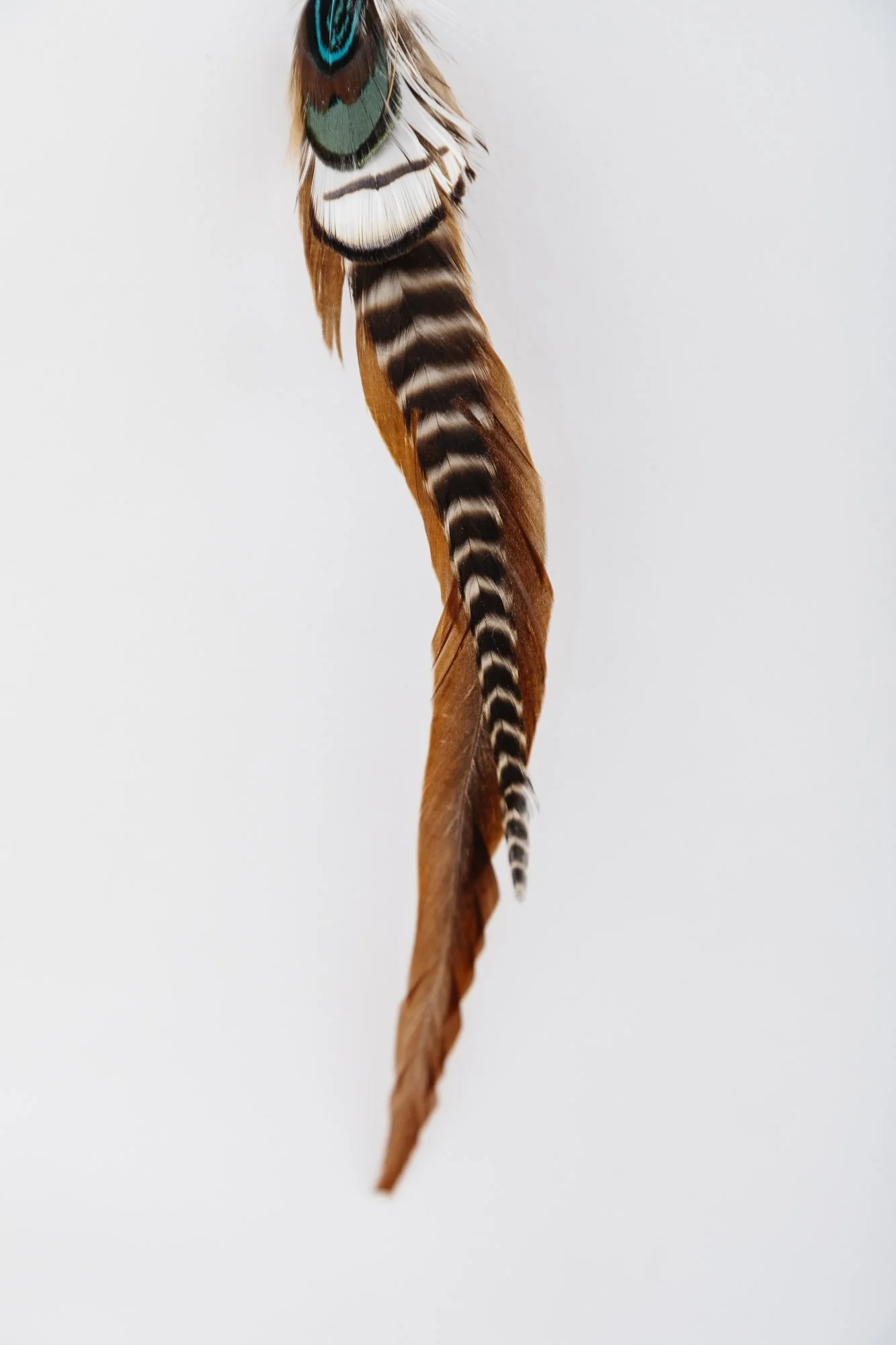 forest-flash-bold-single-feather-earring-detail-2.JPG