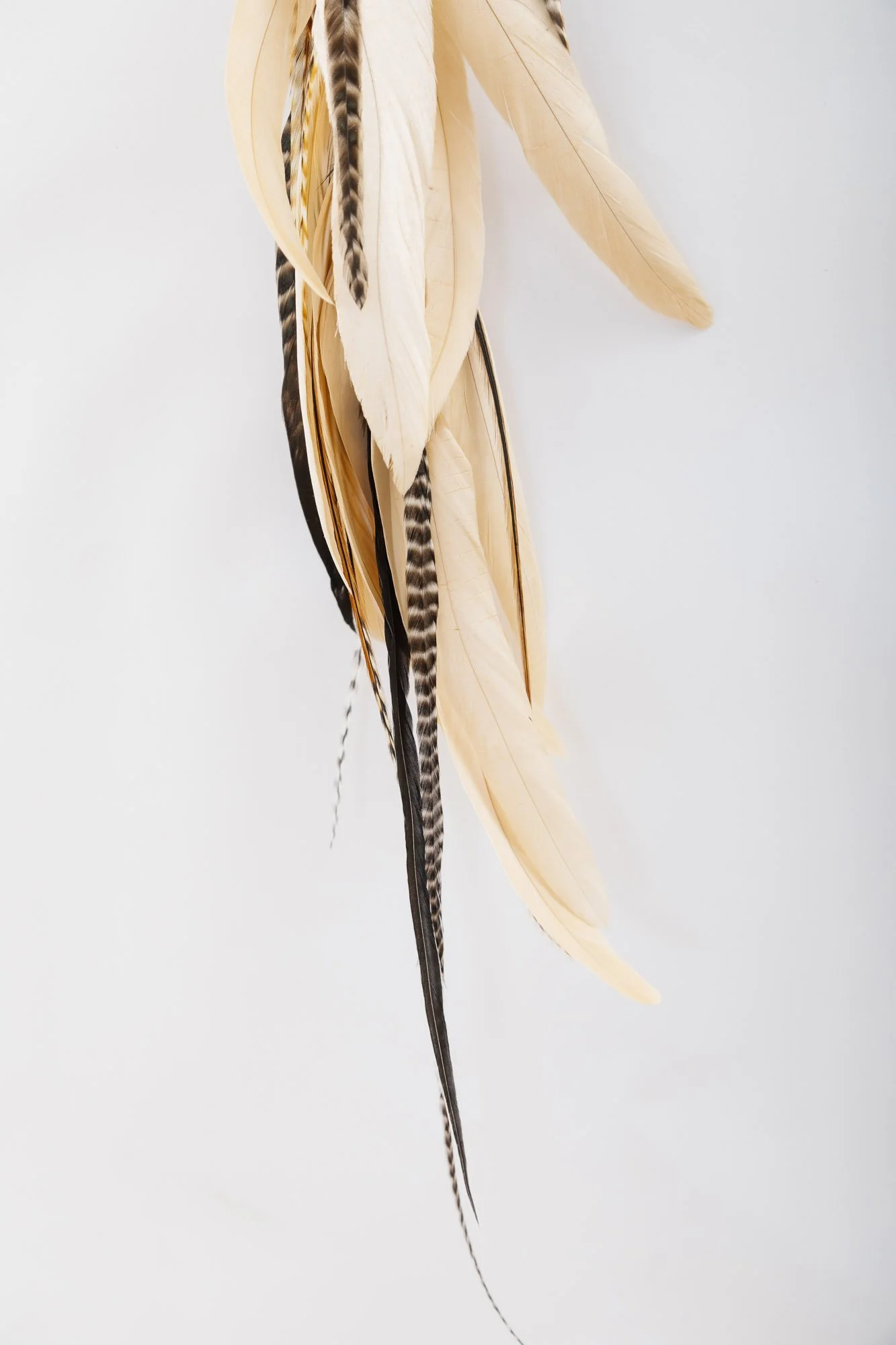 silver-feather-earring-detail-3.JPG