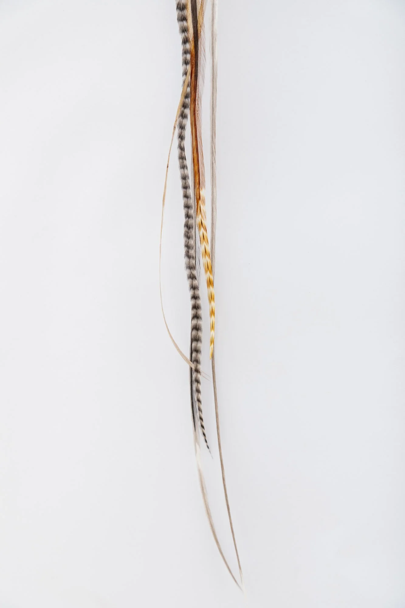 turquoise-feather-earring-6-detail-2.JPG