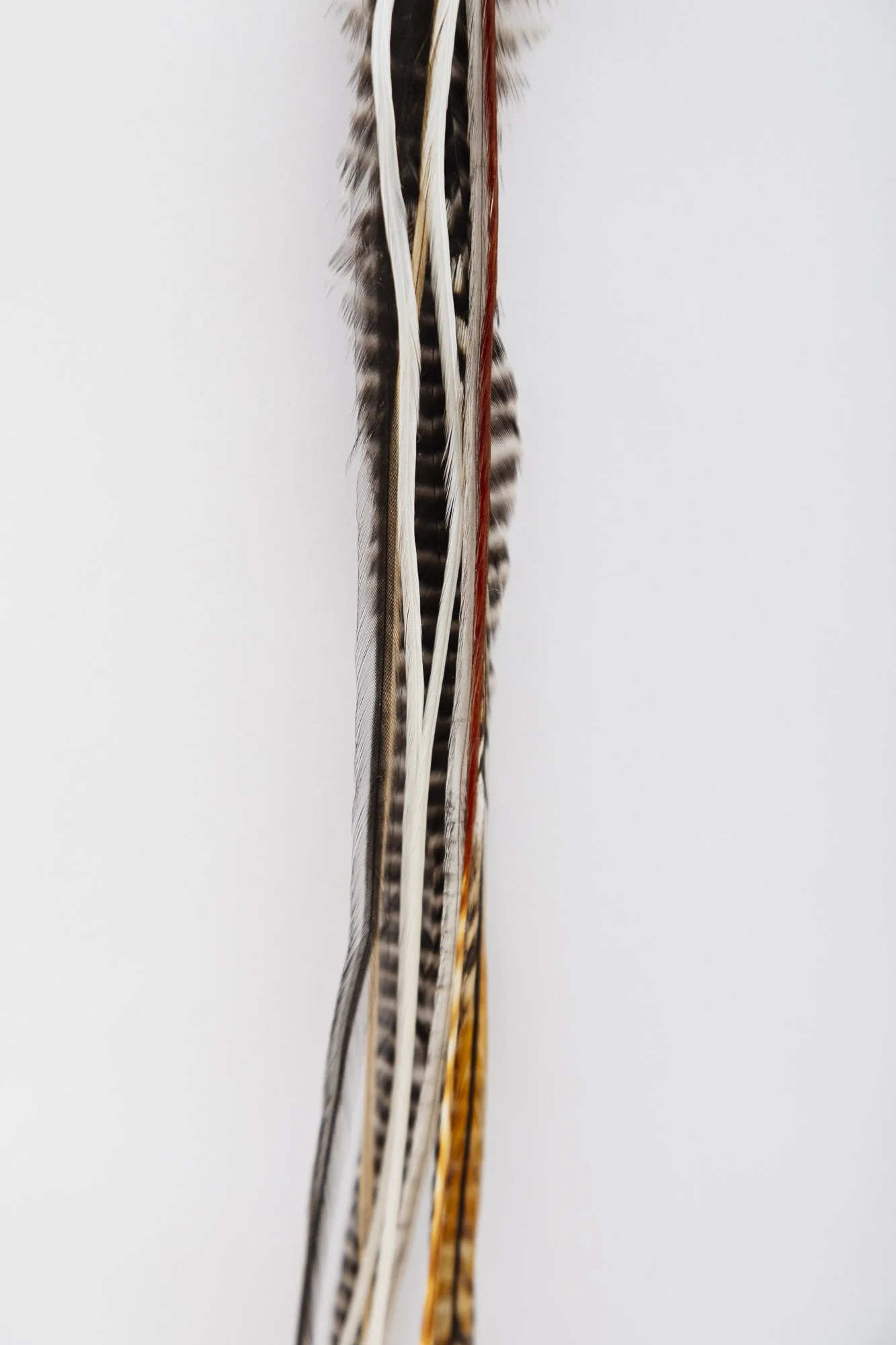 turquoise-feather-earring-7-detail-2.JPG