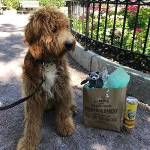 November Pup of the Month Jenny and Kevin Hanna’s pup Rusty