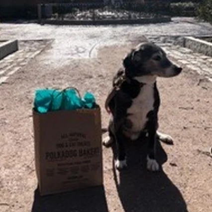 March 2019 Pup of the Month The Koskinen Family’s pup Harry