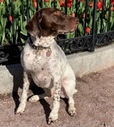 May 2019 Pup of the Month Chris DeBord’s pup Trip