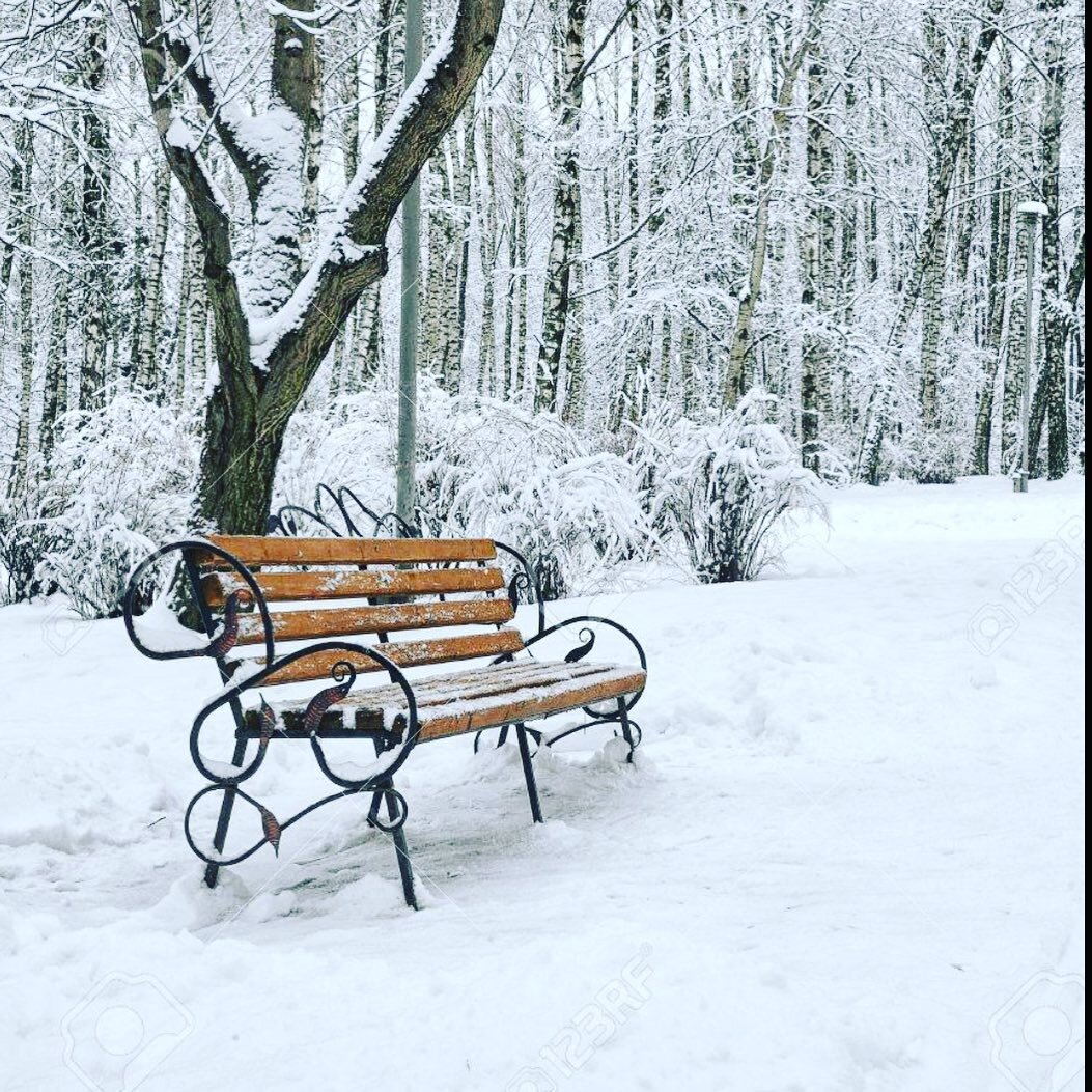 Caroling in the Park is here!! Join us this Sunday from 3:00-4:00pm ... sip on hot cider, munch on holiday cookies, and prep your voices for caroling fun! 🎶❄️🍪 #holidaycheer #carolinginthepark #holidayvoices #hayespark