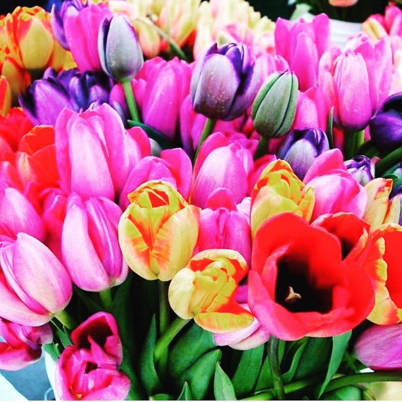 Today&rsquo;s the day! Join us as we celebrate May Day, 3:00pm-5:00pm&hellip; Live music by @waynepotashmusicfun along sweet treats and beautiful tulips for all to enjoy, bring the whole family! #seeyouthere #mayday #hayespark #springtulips🌷🌷🌷