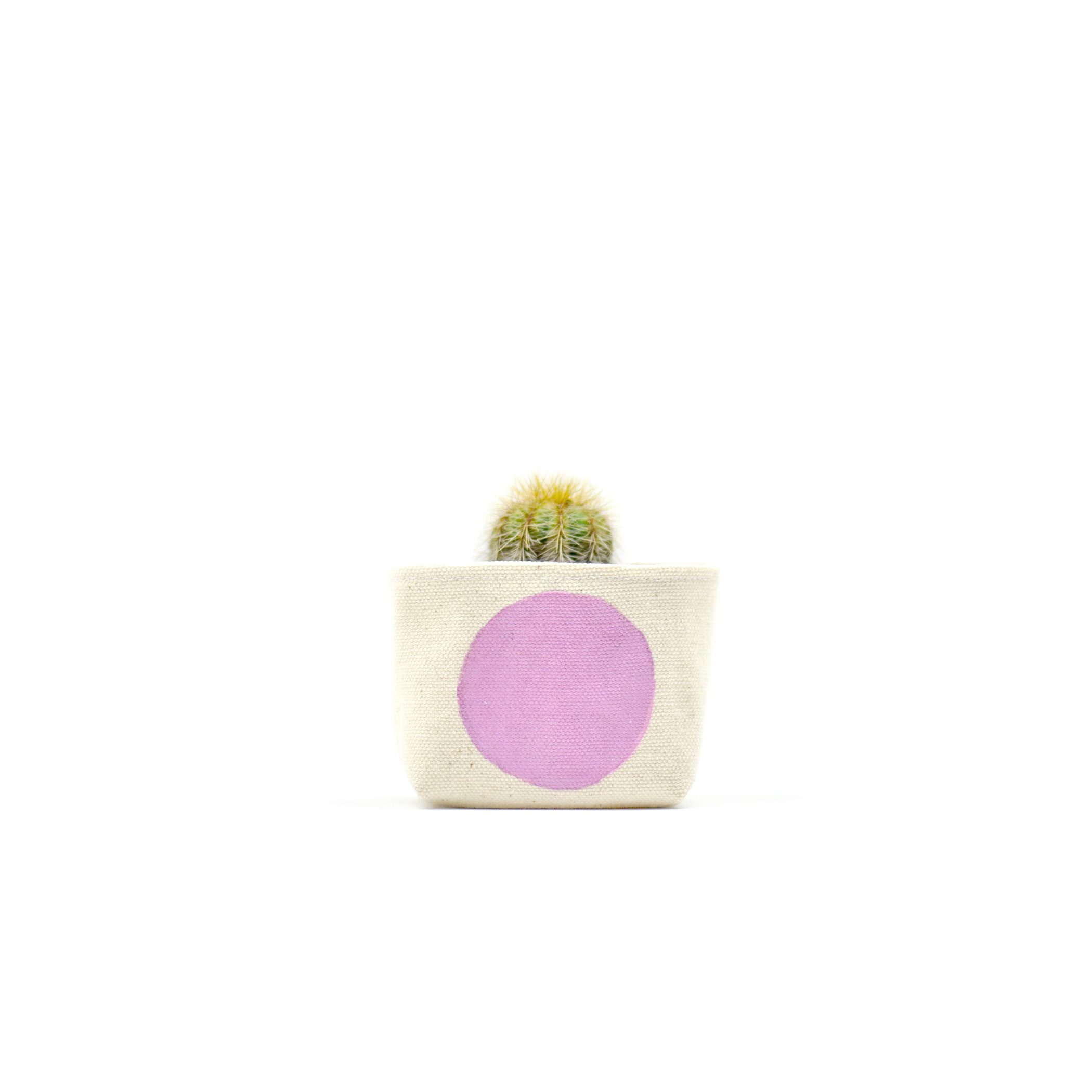 Pink Dot Canvas Planter—3"