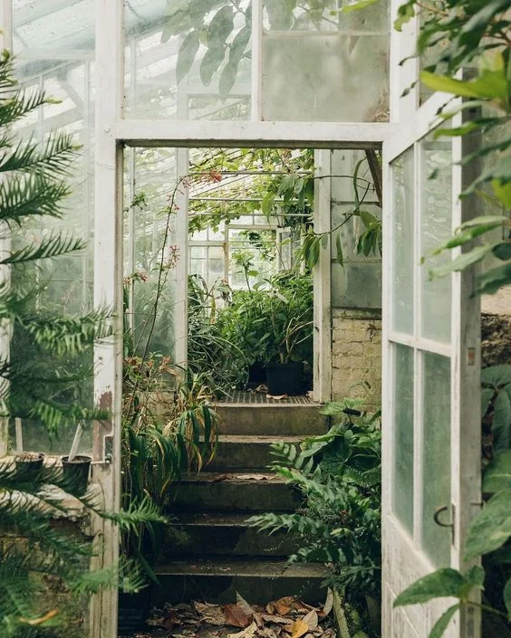 Lush Greenhouse.jpg
