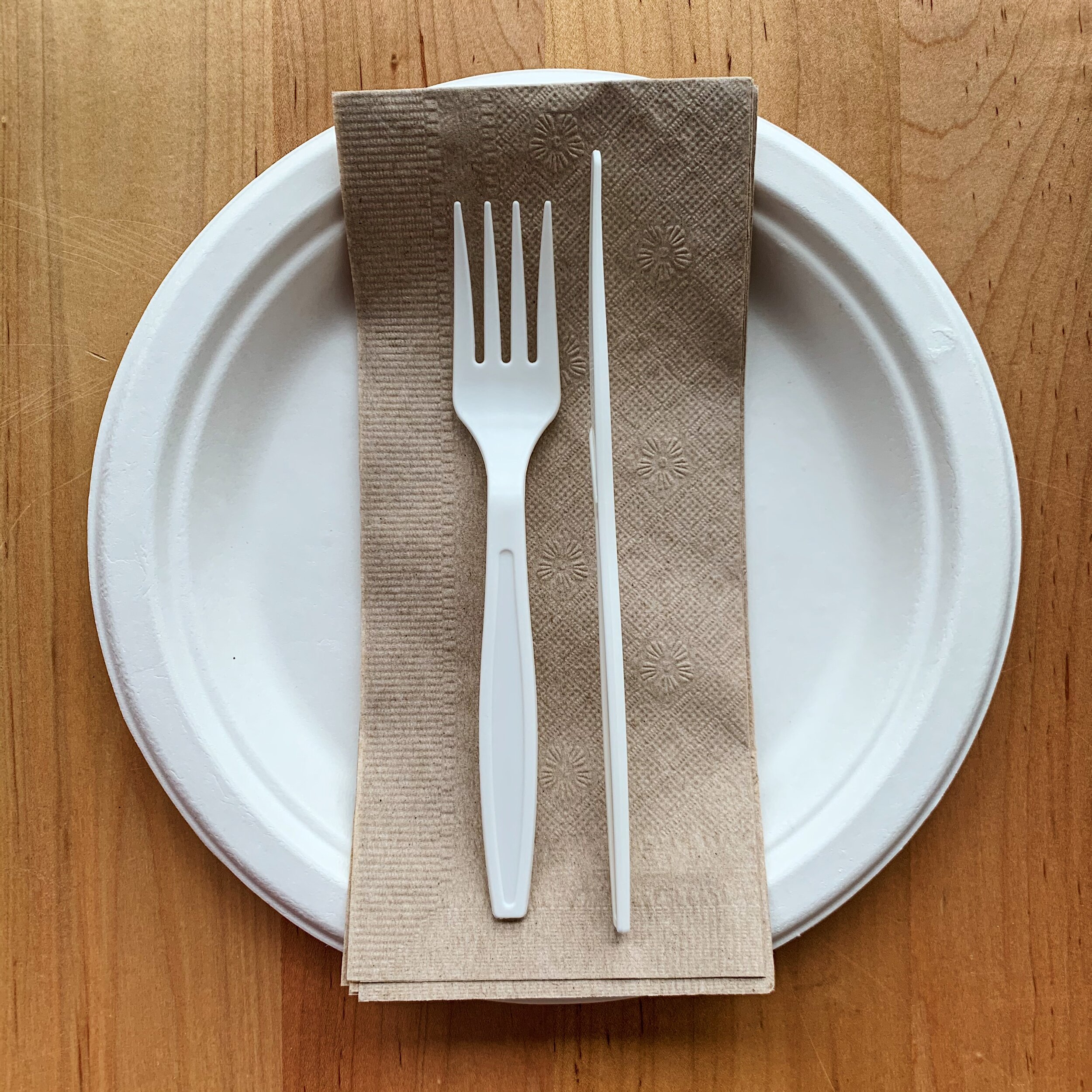 Biodegradable Place Setting
