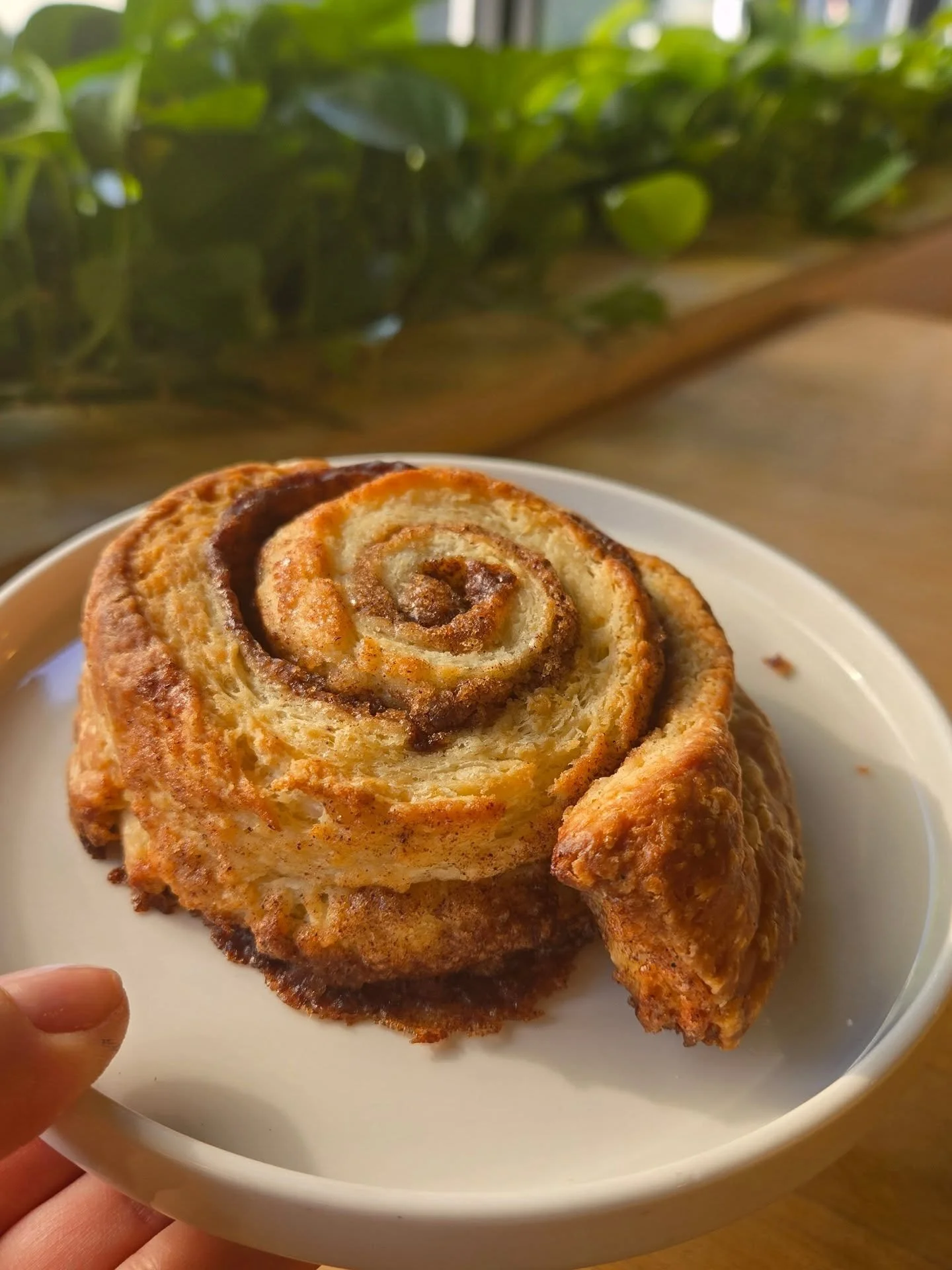 Is there anything better than a freshly baked Cinnamon Roll? 🤭🌟

💪Yes, when it's served with our delightful Ricotta and our Mixed Berry Jam! This combo takes our already amazing best-seller to a whole new level of deliciousness.✨️🩵

Get yours now