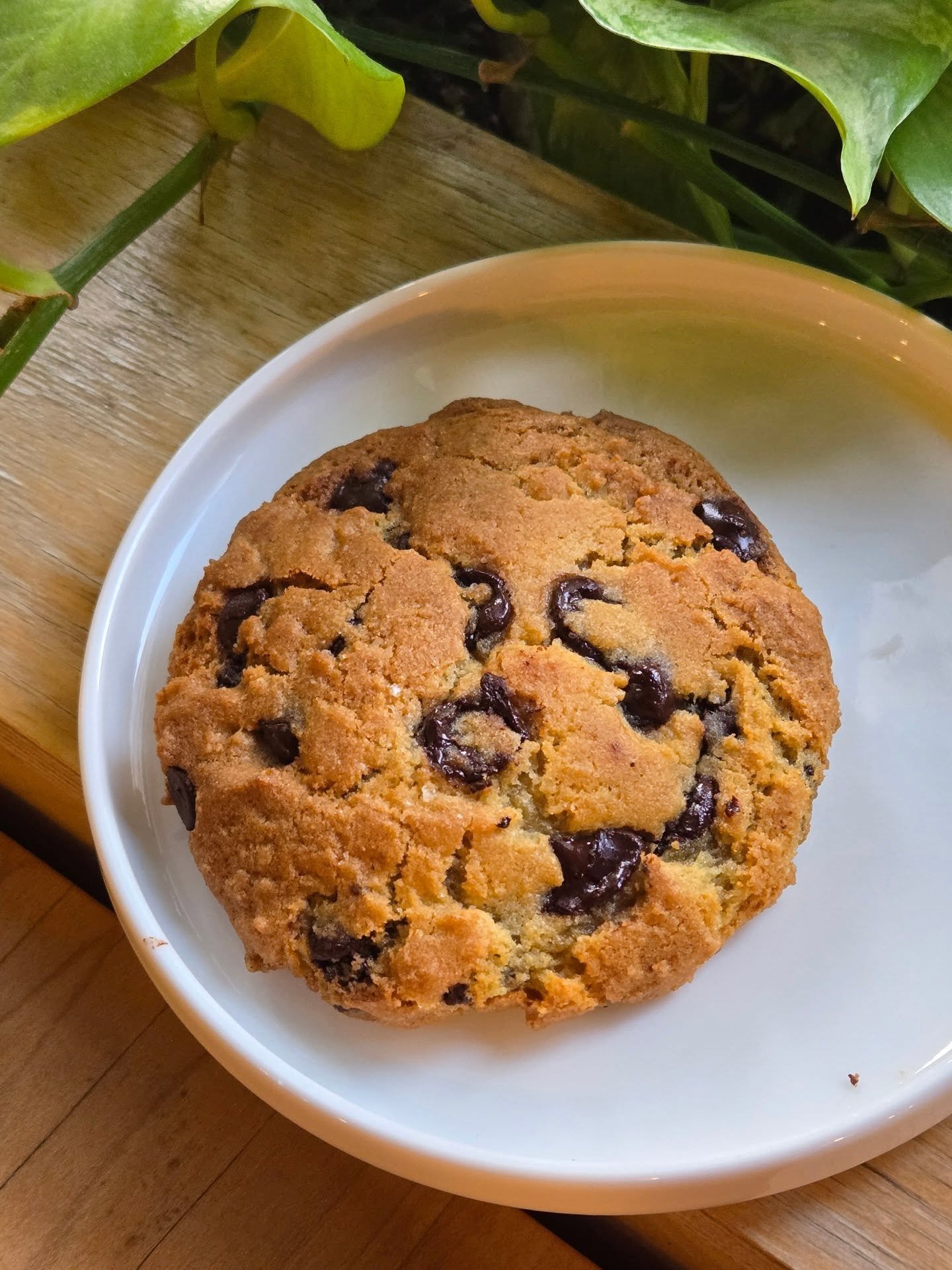 🍪 Midtown Toronto&rsquo;s Most Dangerous Cookie: Our Classic Salted Chocolate Chip 🍪✨️

Freshly baked in-house at least twice a day (because one batch disappears in minutes🤭).
Gooey, melty chocolate chunks, golden buttery dough, and that perfect p