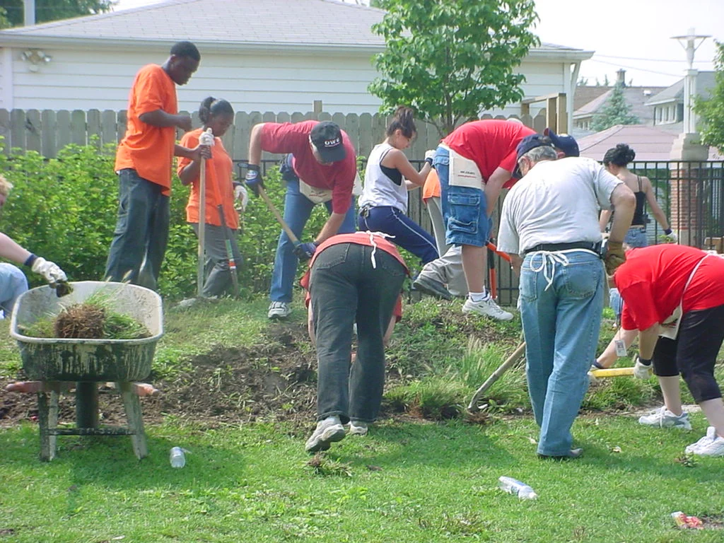 Landscaping 1.JPG