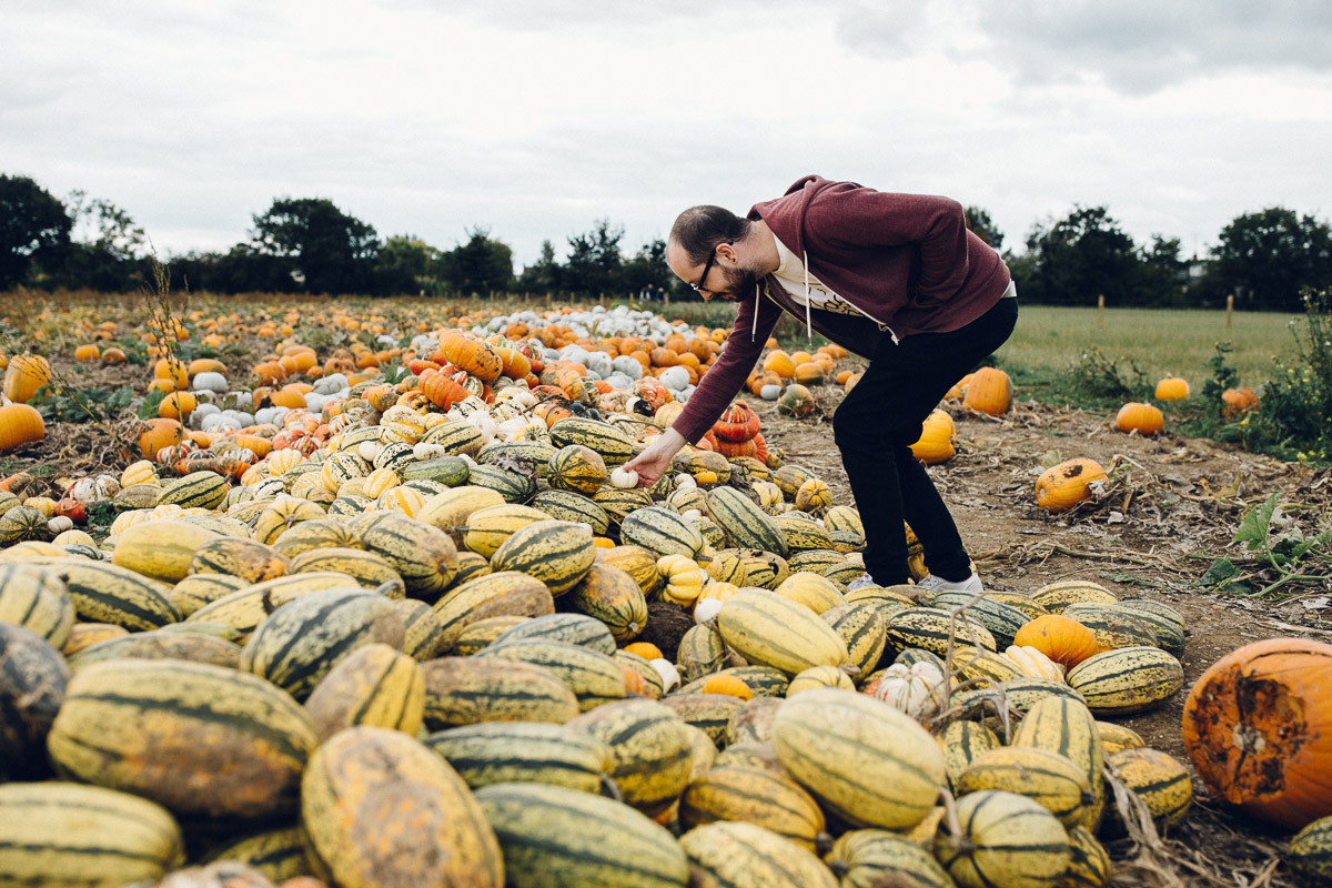 pumpkinpatch-11.jpg