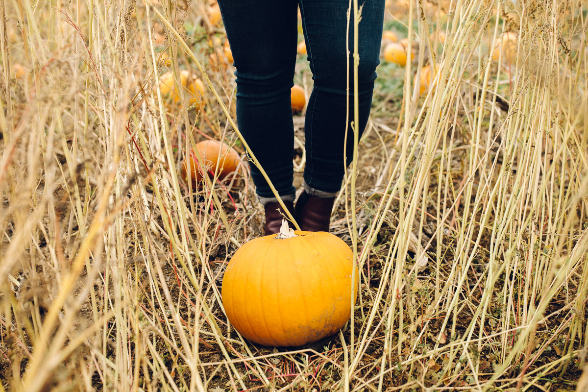 pumpkinpatch-24.jpg