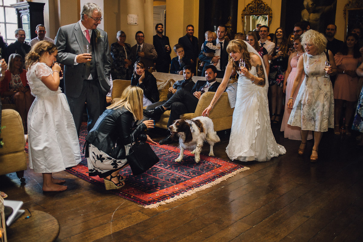 Dog Watches Wedding Speeches inside Kings Weston House Bristol