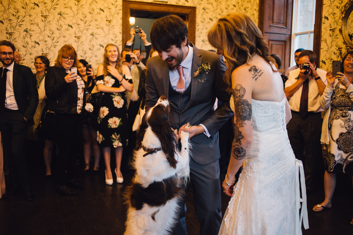 Dog Joins Couple for First Dance