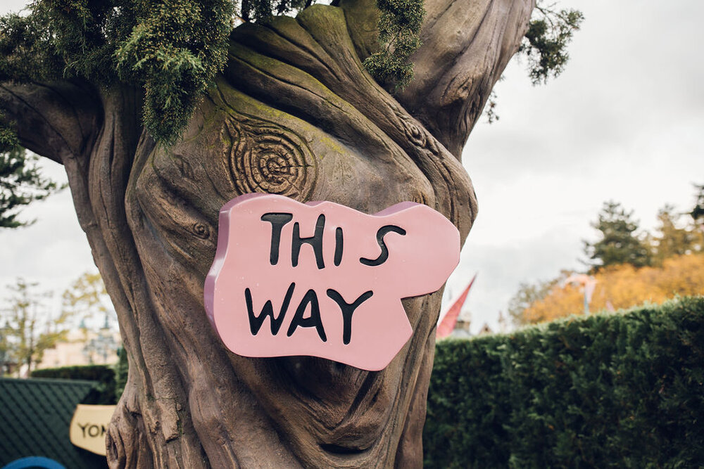 Disneyland Paris Engagement Shoot Alternative couple portrait Alice in Wonderland