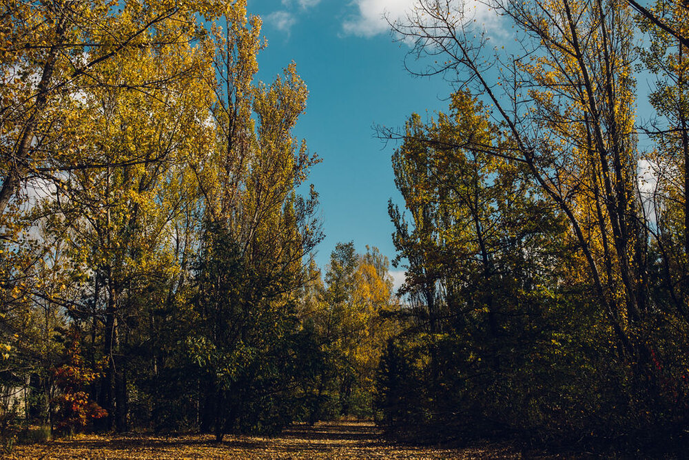 Travel photography - Chernobyl exclusion zone and Pripyat tour  