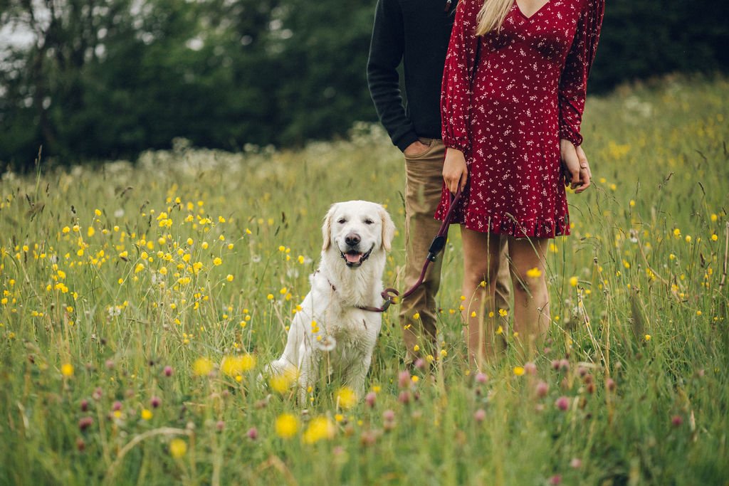Relaxed wedding photography engagement shoot