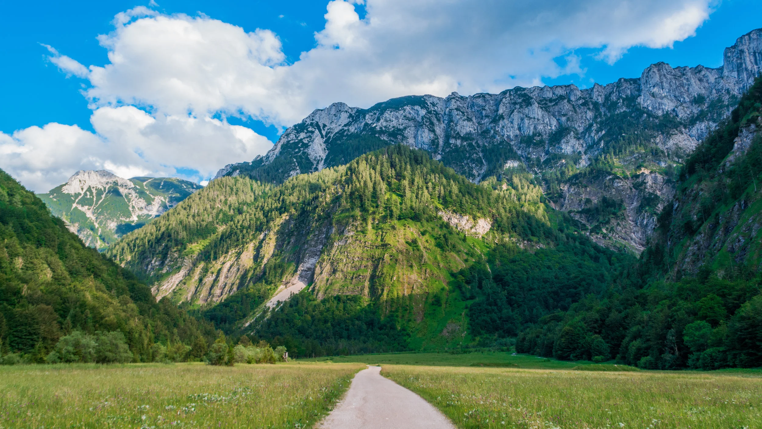 A Creedal Voice & the Statement of Faith: Floyd McIntyre offers his perspective