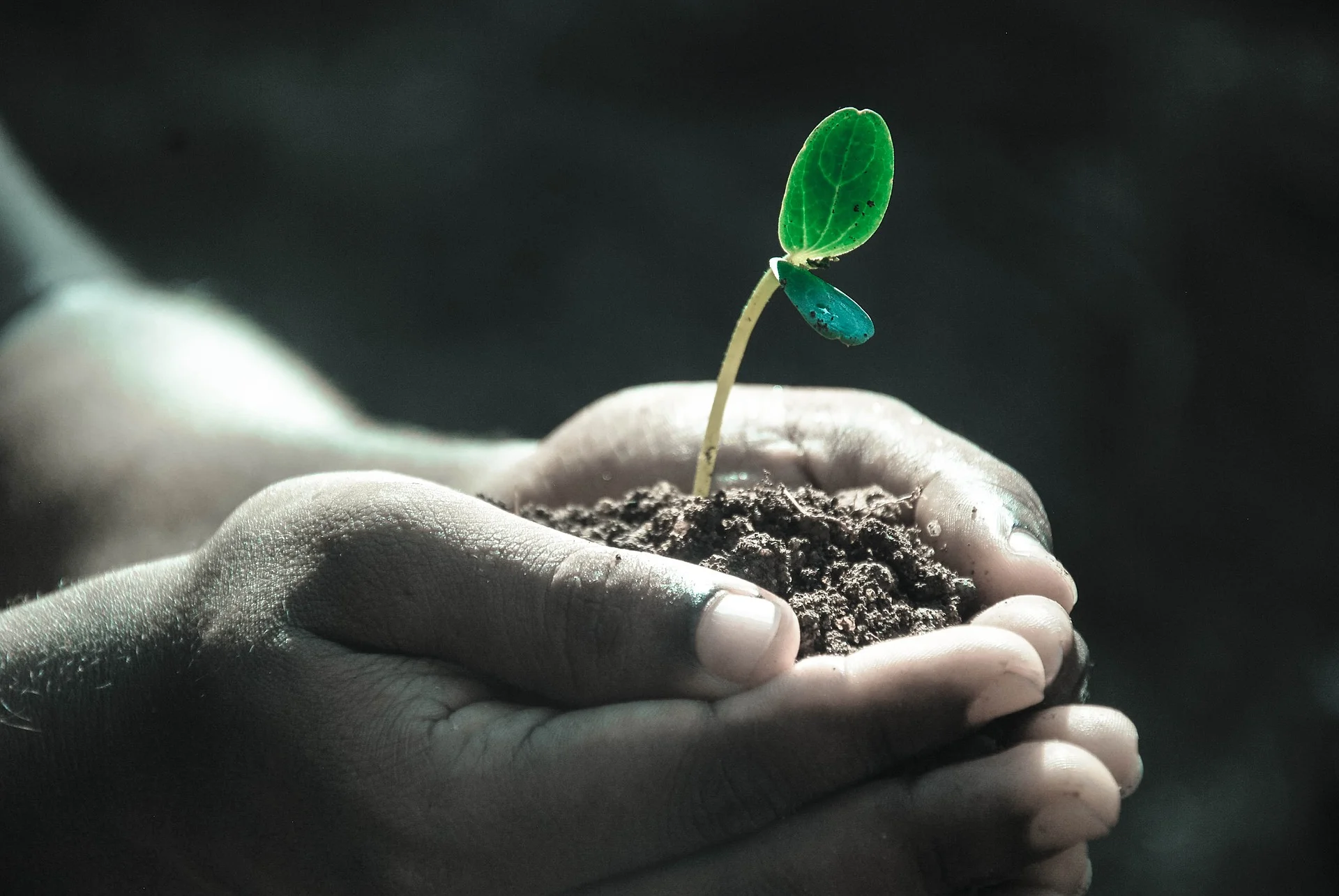 What Kind of Soil Are You?  (The Receptive Ground Hearer)