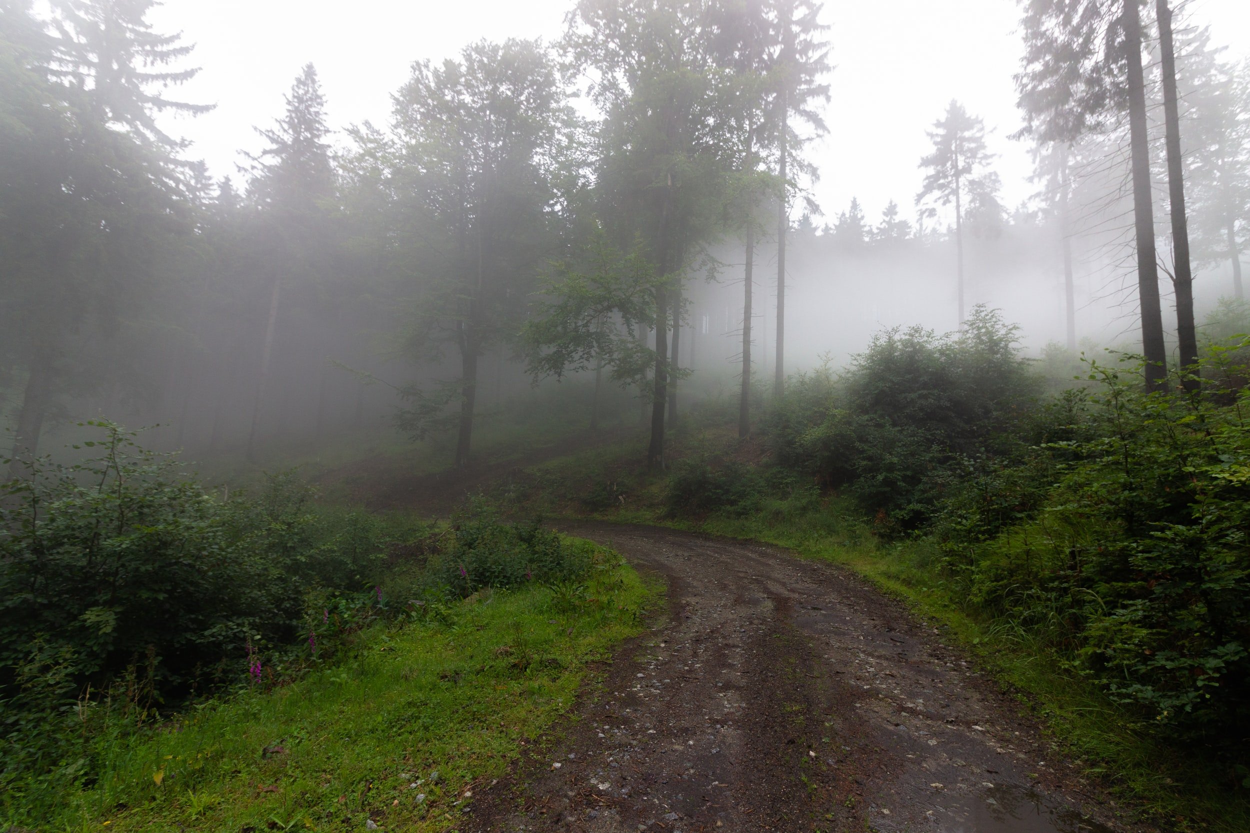 Dirt Roads